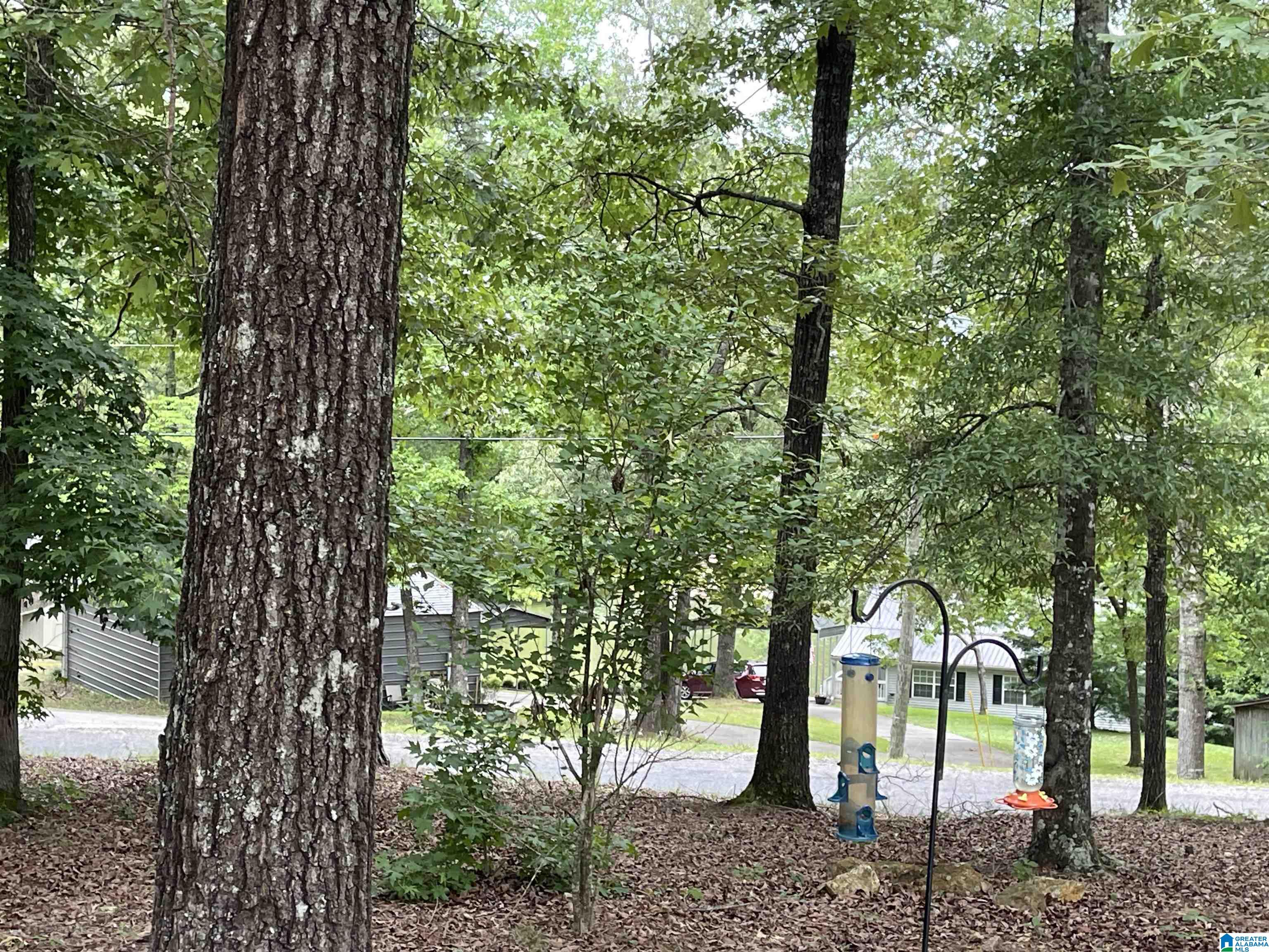 26 Shady Grove Road Talladega, AL 35160 - Photo 19 of 51