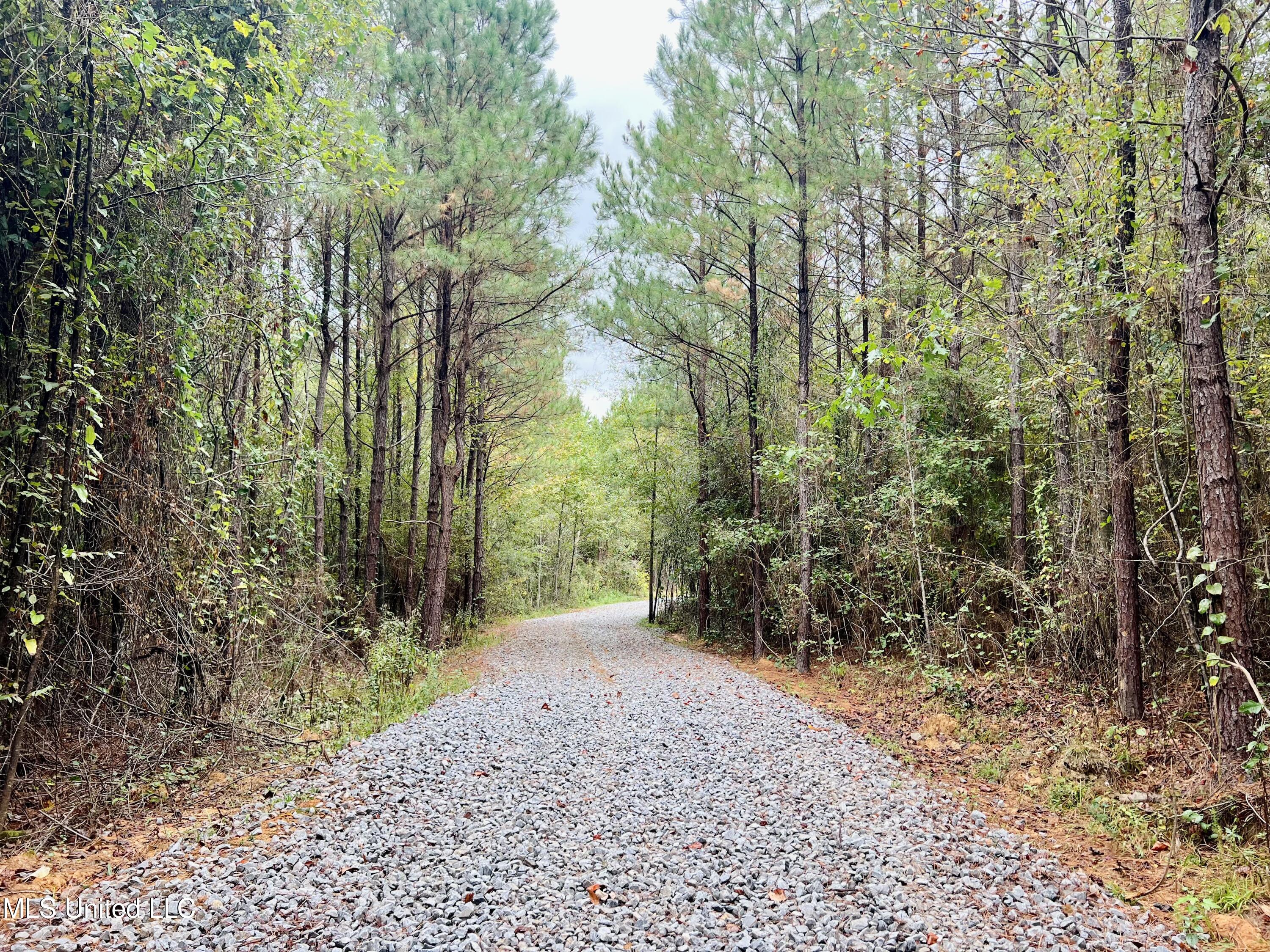 373 Spring Hill Road Winona, MS 38967 - Photo 16 of 61 IMG_5883