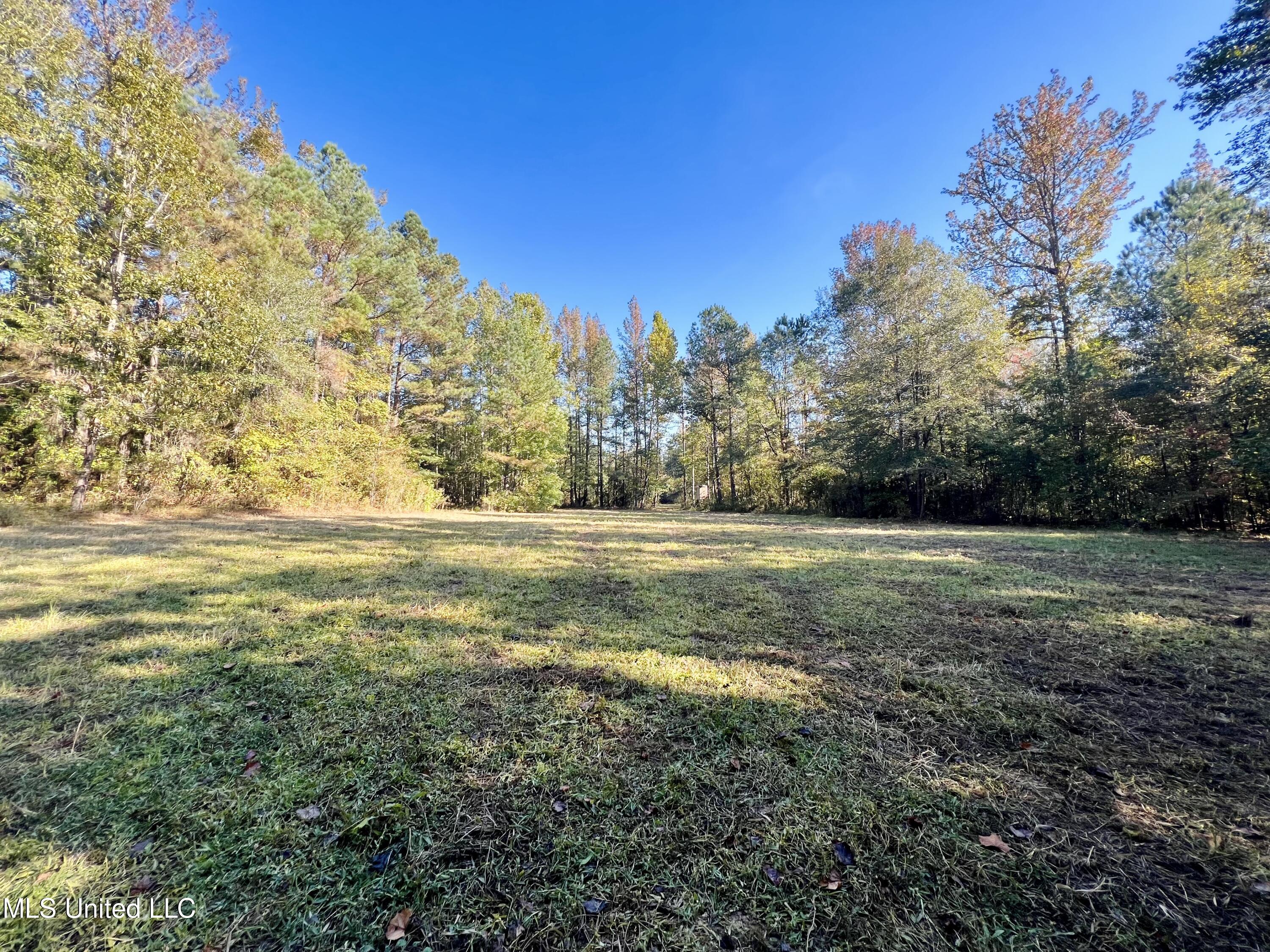 373 Spring Hill Road Winona, MS 38967 - Photo 19 of 61 IMG_6001