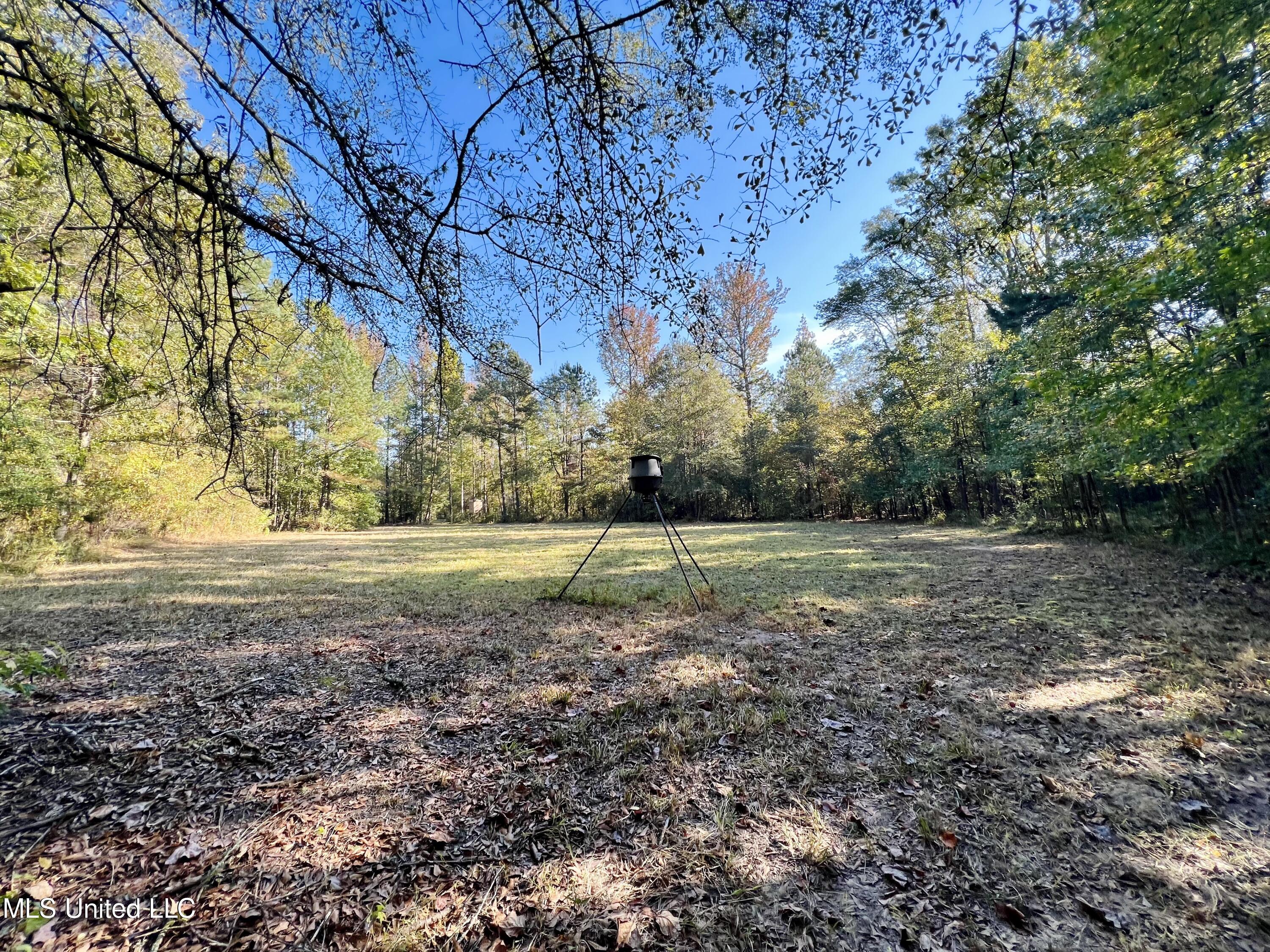 373 Spring Hill Road Winona, MS 38967 - Photo 20 of 61 IMG_5997