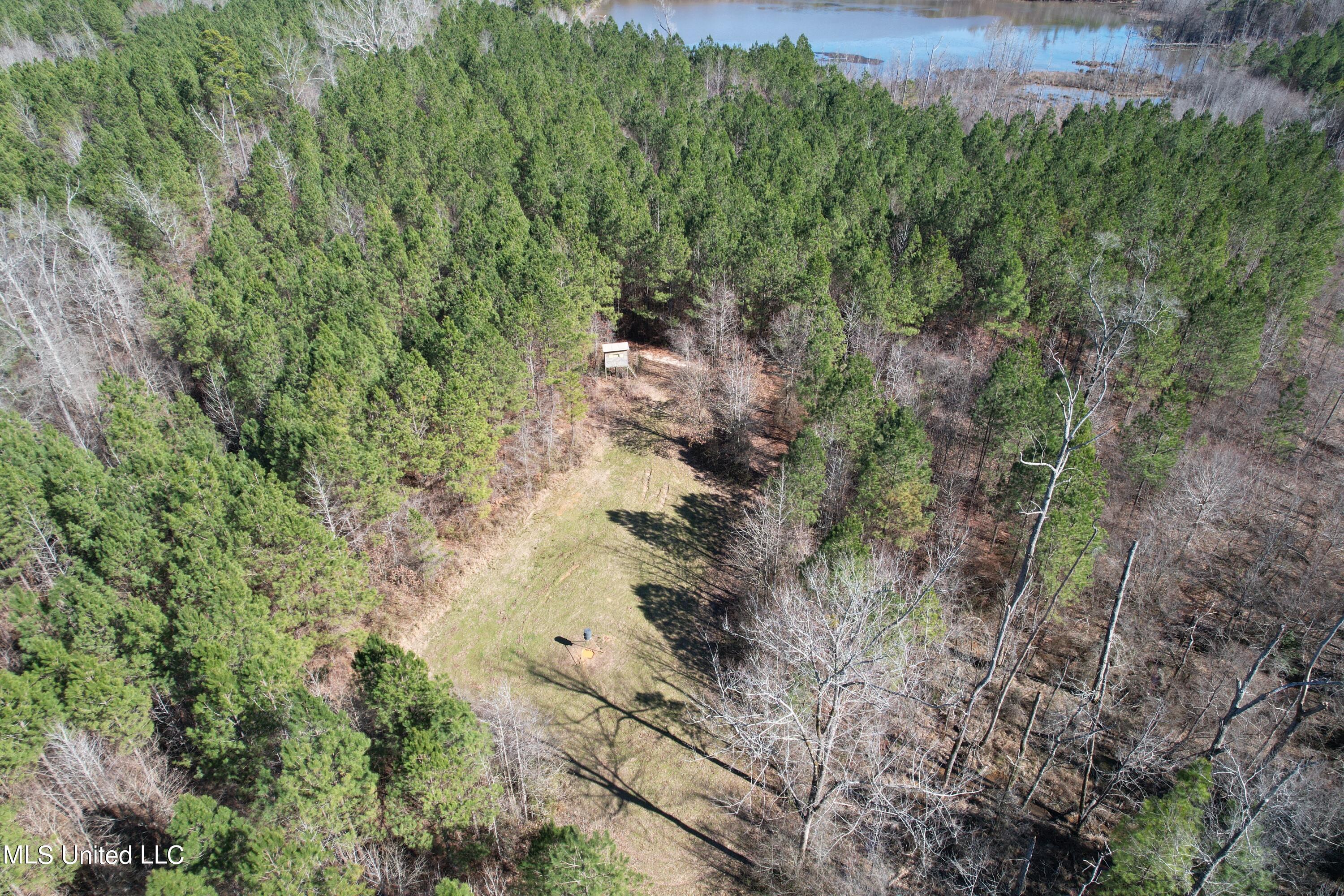 373 Spring Hill Road Winona, MS 38967 - Photo 22 of 61 dji_0449
