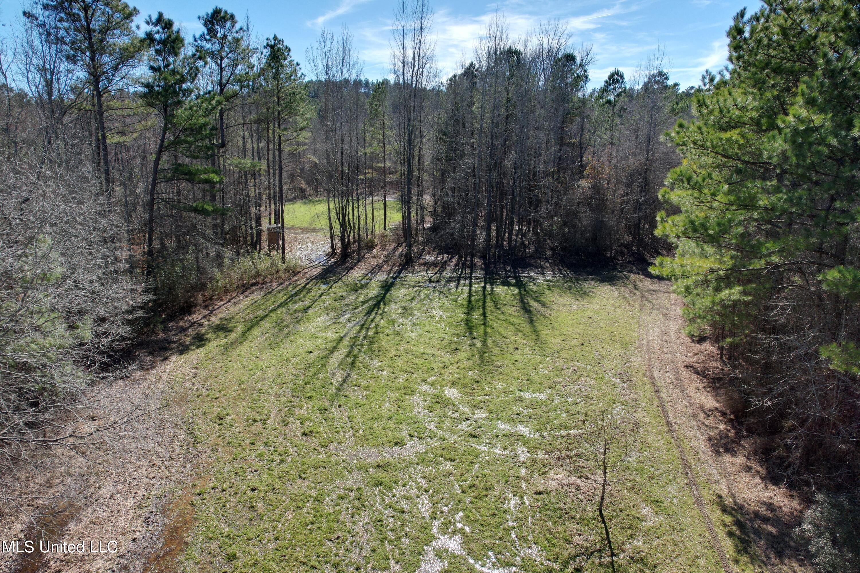 373 Spring Hill Road Winona, MS 38967 - Photo 23 of 61 dji_0481