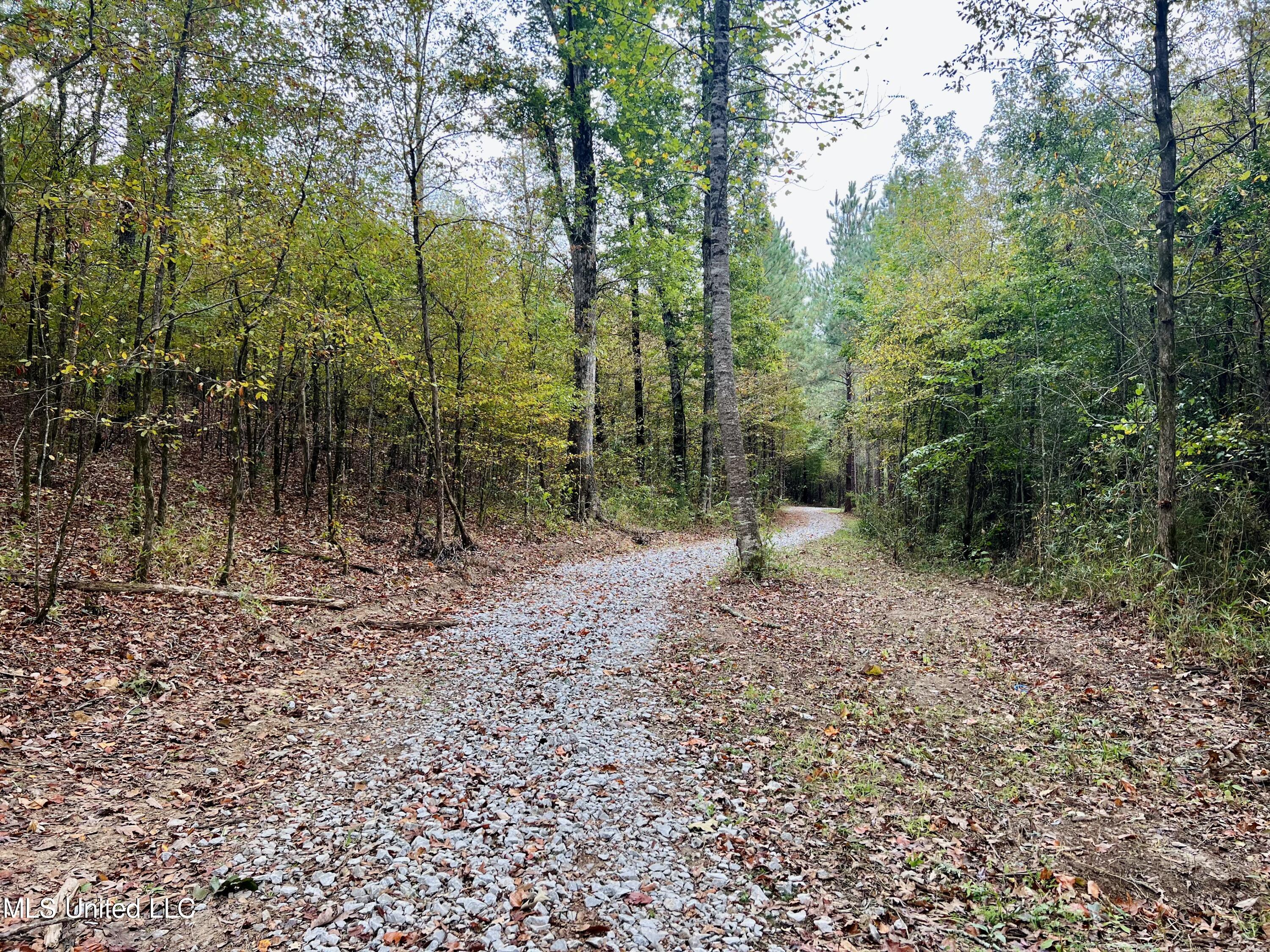 373 Spring Hill Road Winona, MS 38967 - Photo 28 of 61 IMG_5886