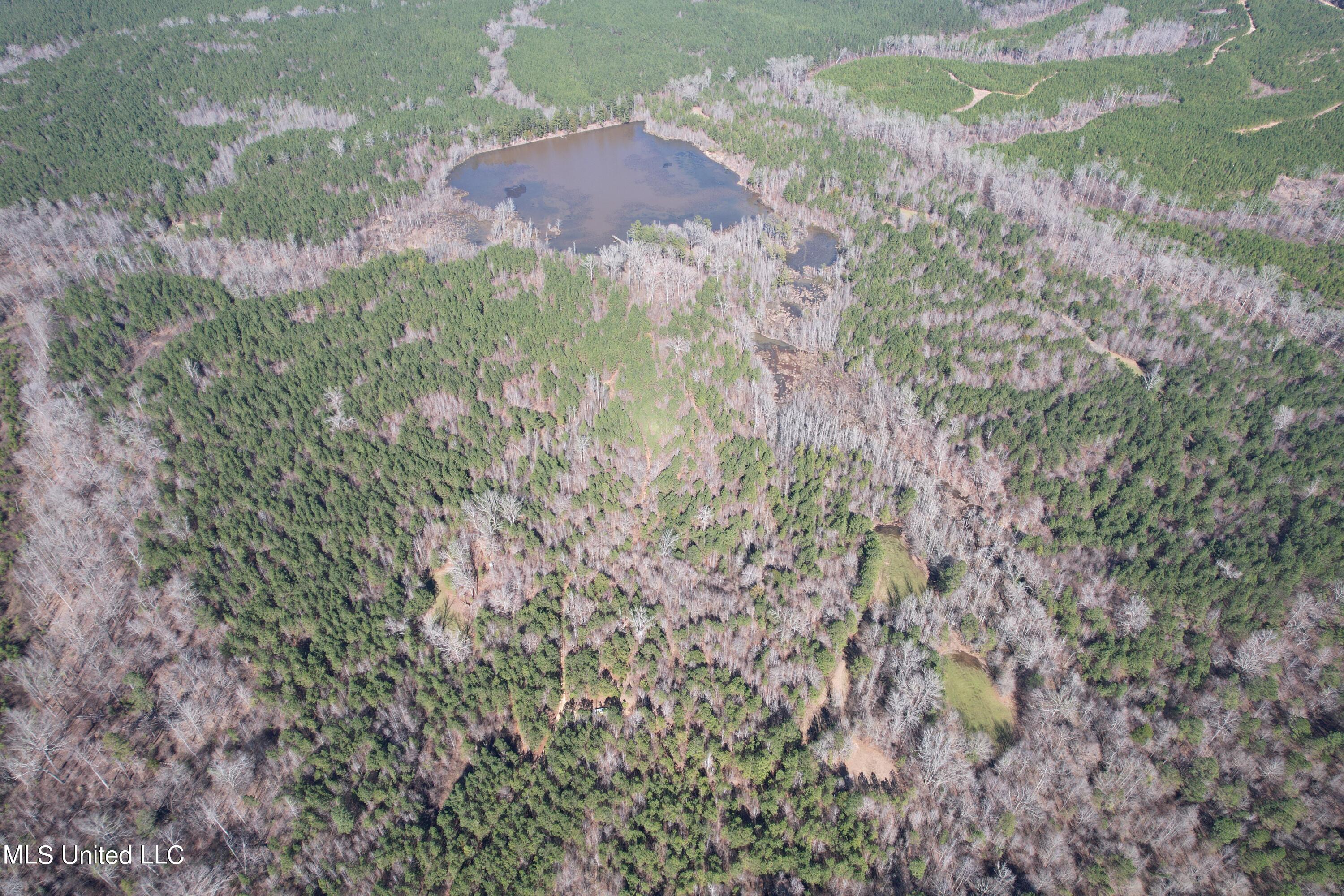 373 Spring Hill Road Winona, MS 38967 - Photo 3 of 61 dji_0446