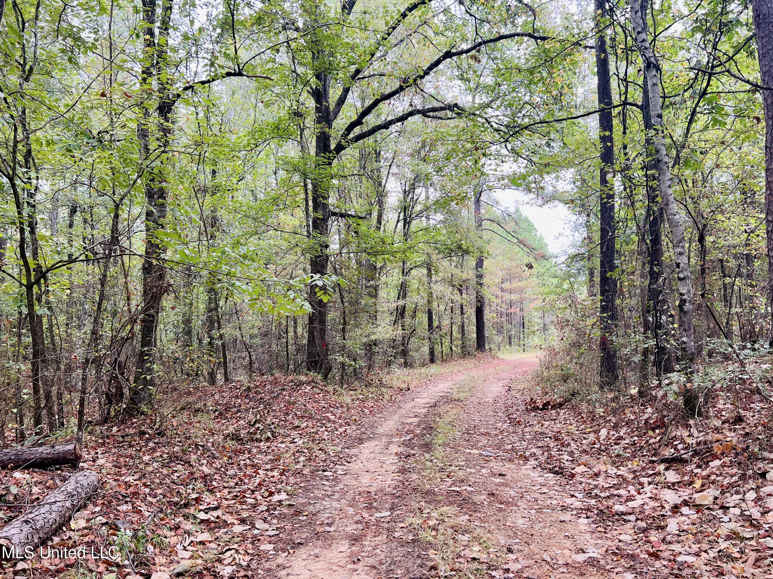 373 Spring Hill Road Winona, MS 38967 - Photo 42 of 61 IMG_5915
