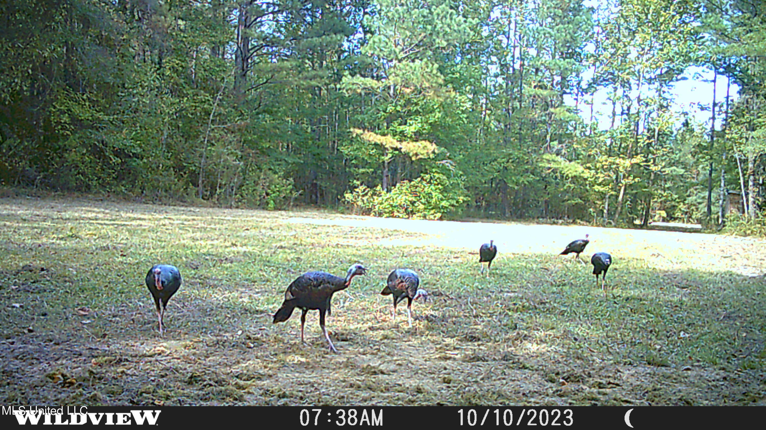373 Spring Hill Road Winona, MS 38967 - Photo 57 of 61 WLD_2514