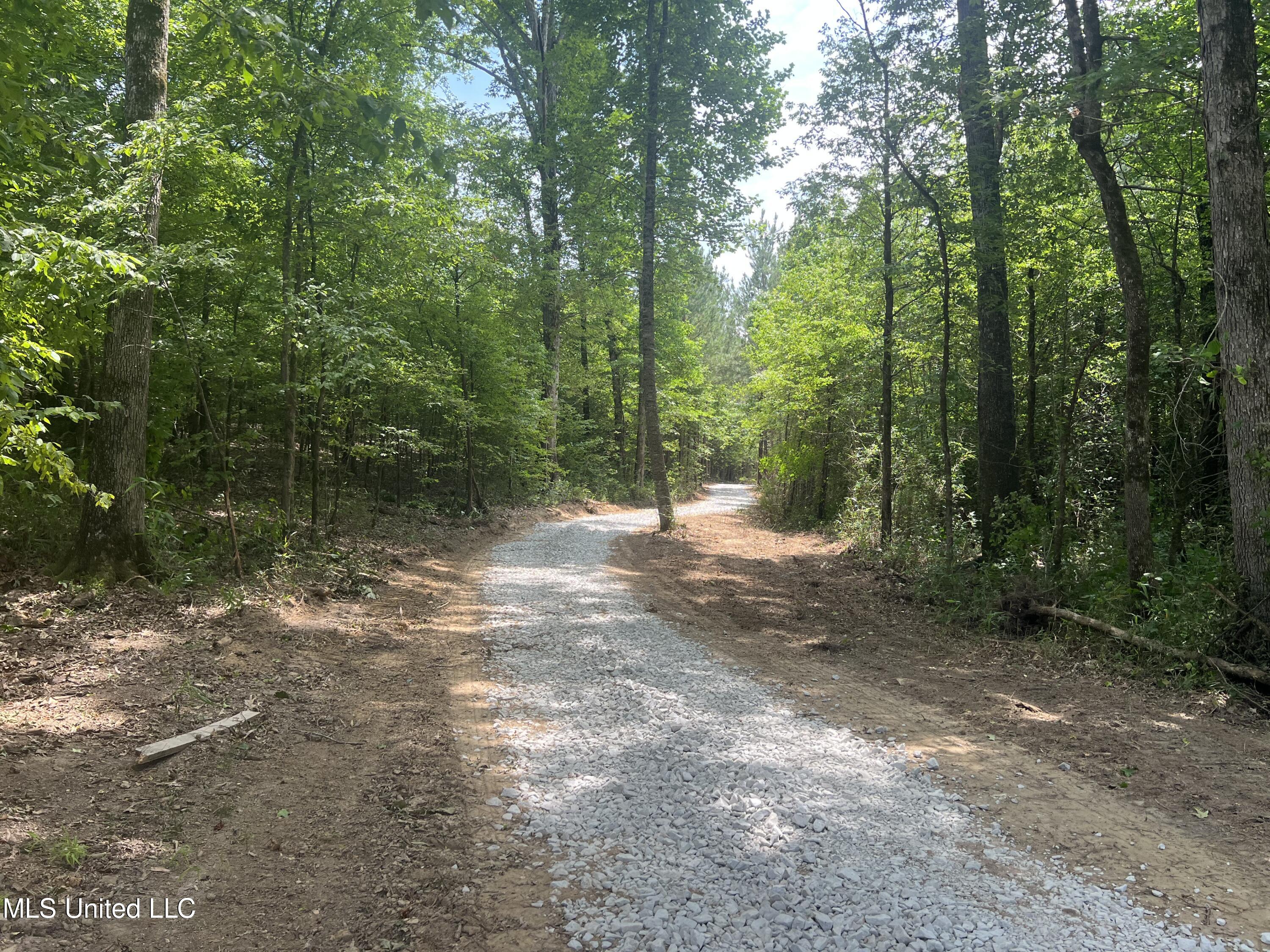 373 Spring Hill Road Winona, MS 38967 - Photo 6 of 61 IMG_3905