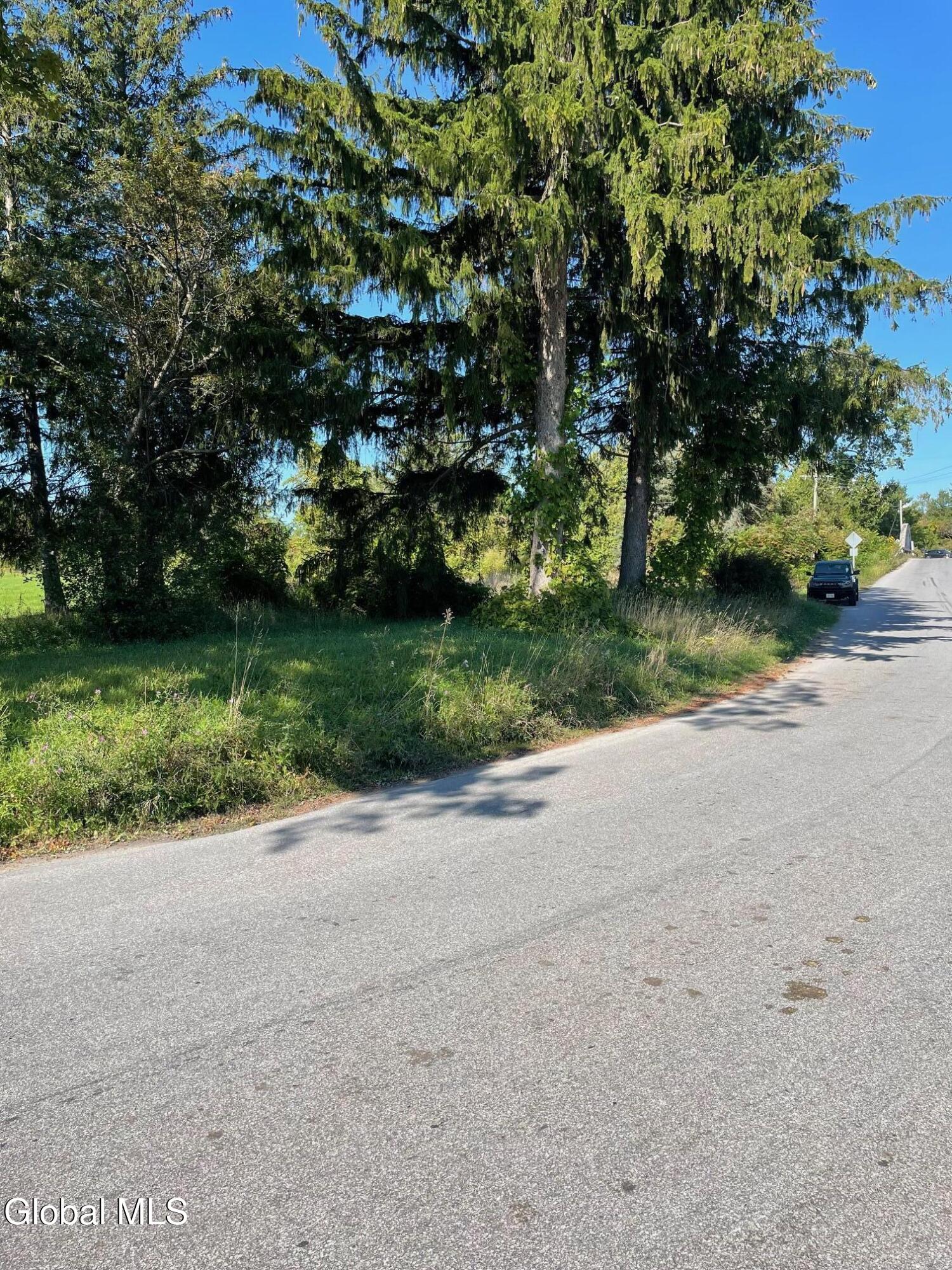 114 Brookmans Corners Road Fort Plain, NY 13339 - Photo 4 of 16 4