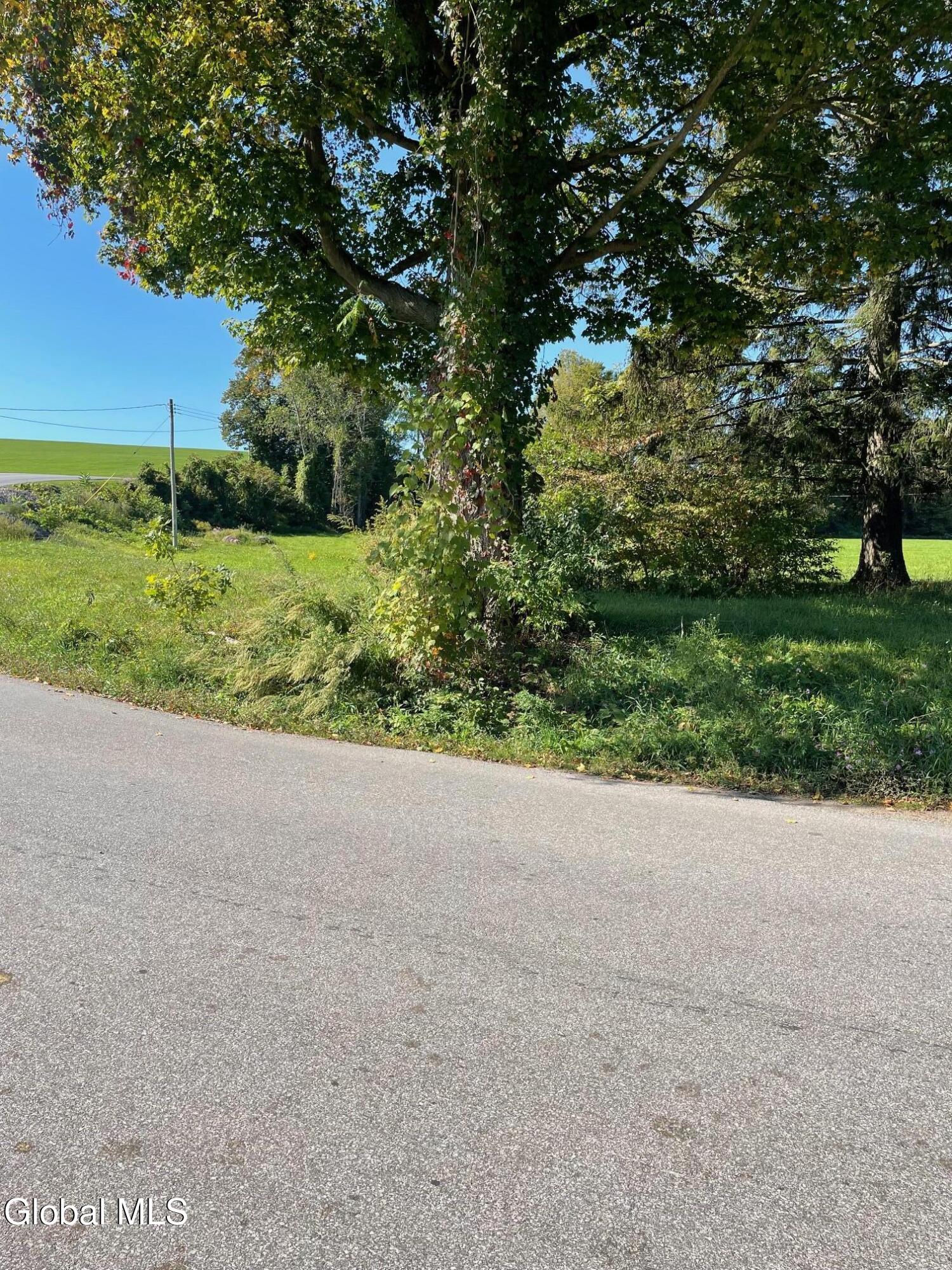 114 Brookmans Corners Road Fort Plain, NY 13339 - Photo 8 of 16 8