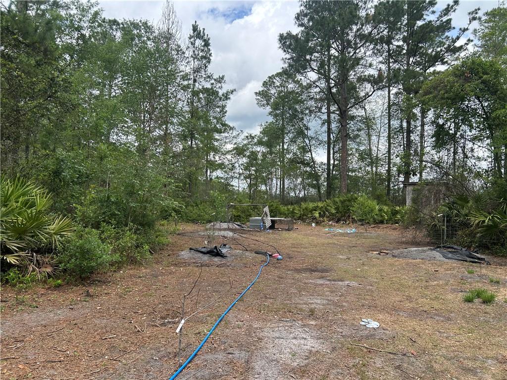 114 Jones Road Hortense, GA 31543 - Photo 17 of 25 a view of a dirt road with trees in the background