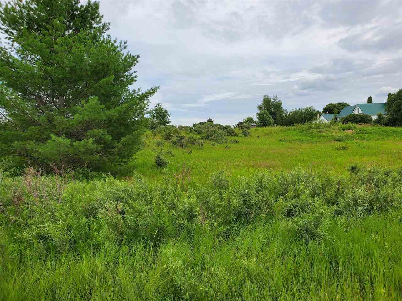 3.38 Fairview Road West Branch, MI 48661 - Photo 2 of 10