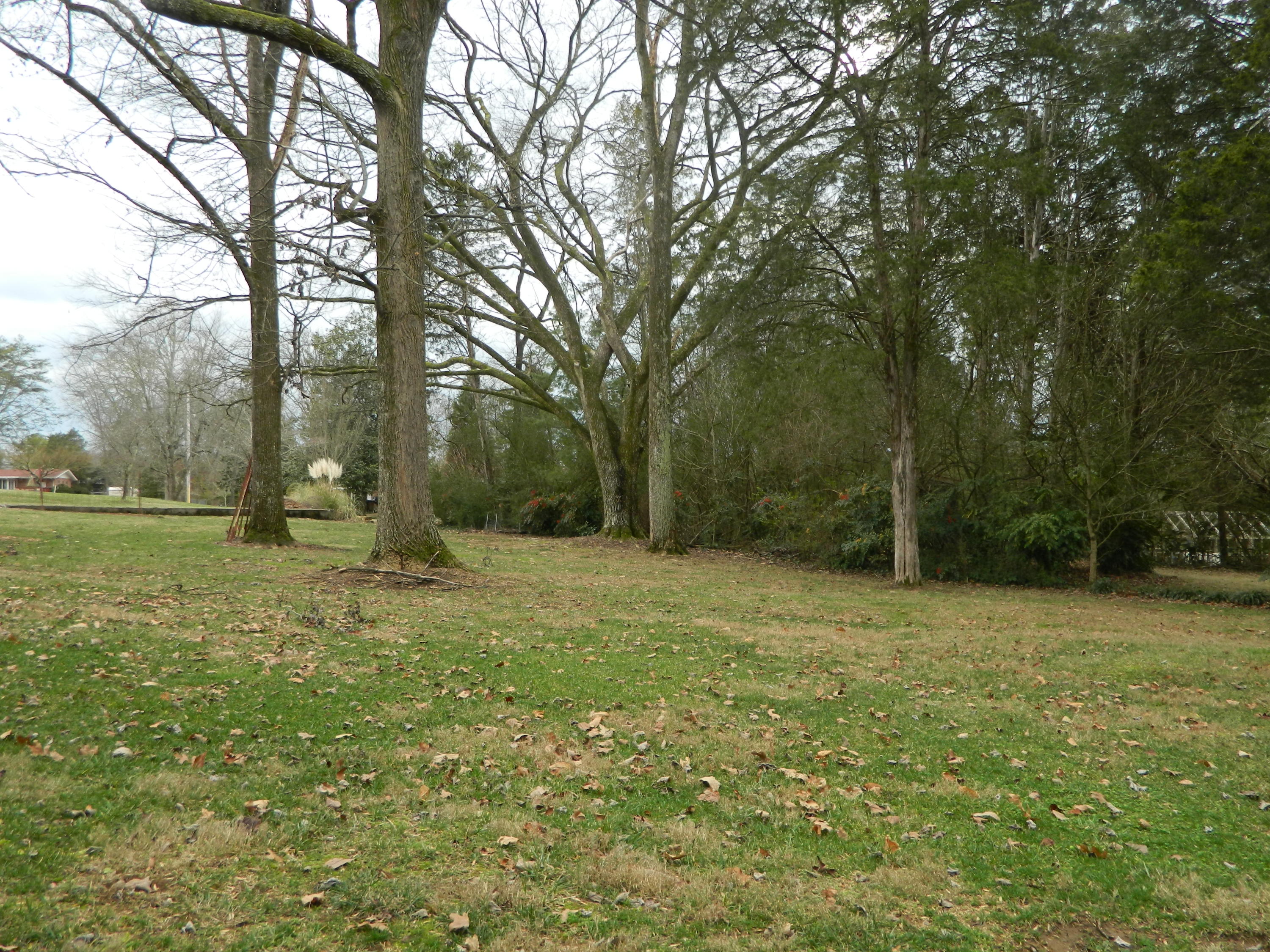 107 Davis Lane Oak Ridge, TN 37830 - Photo 18 of 19 DSCN4231