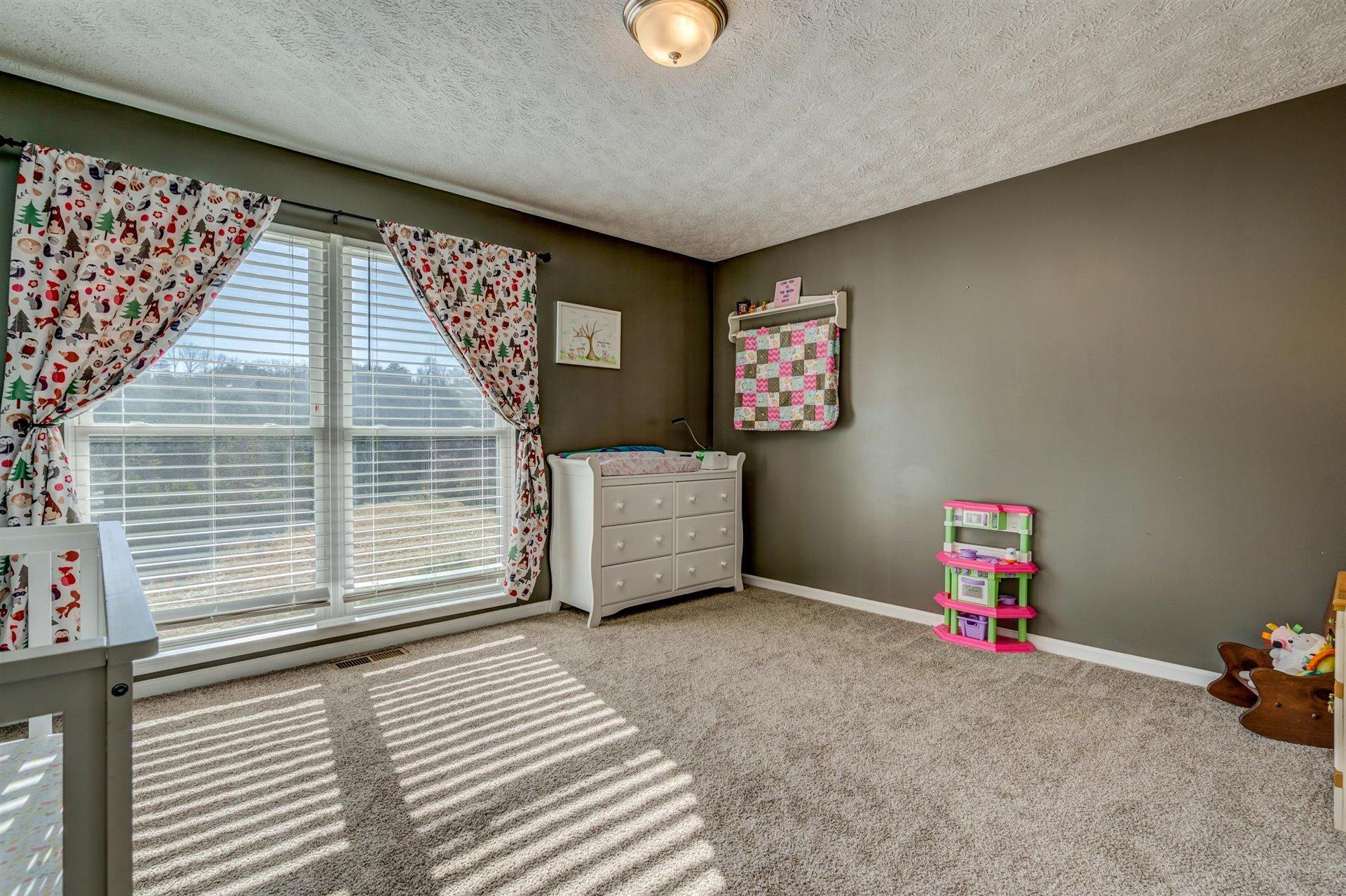 950 Longfield Road Fincastle, VA 24090 - Photo 30 of 51 30-011320210056