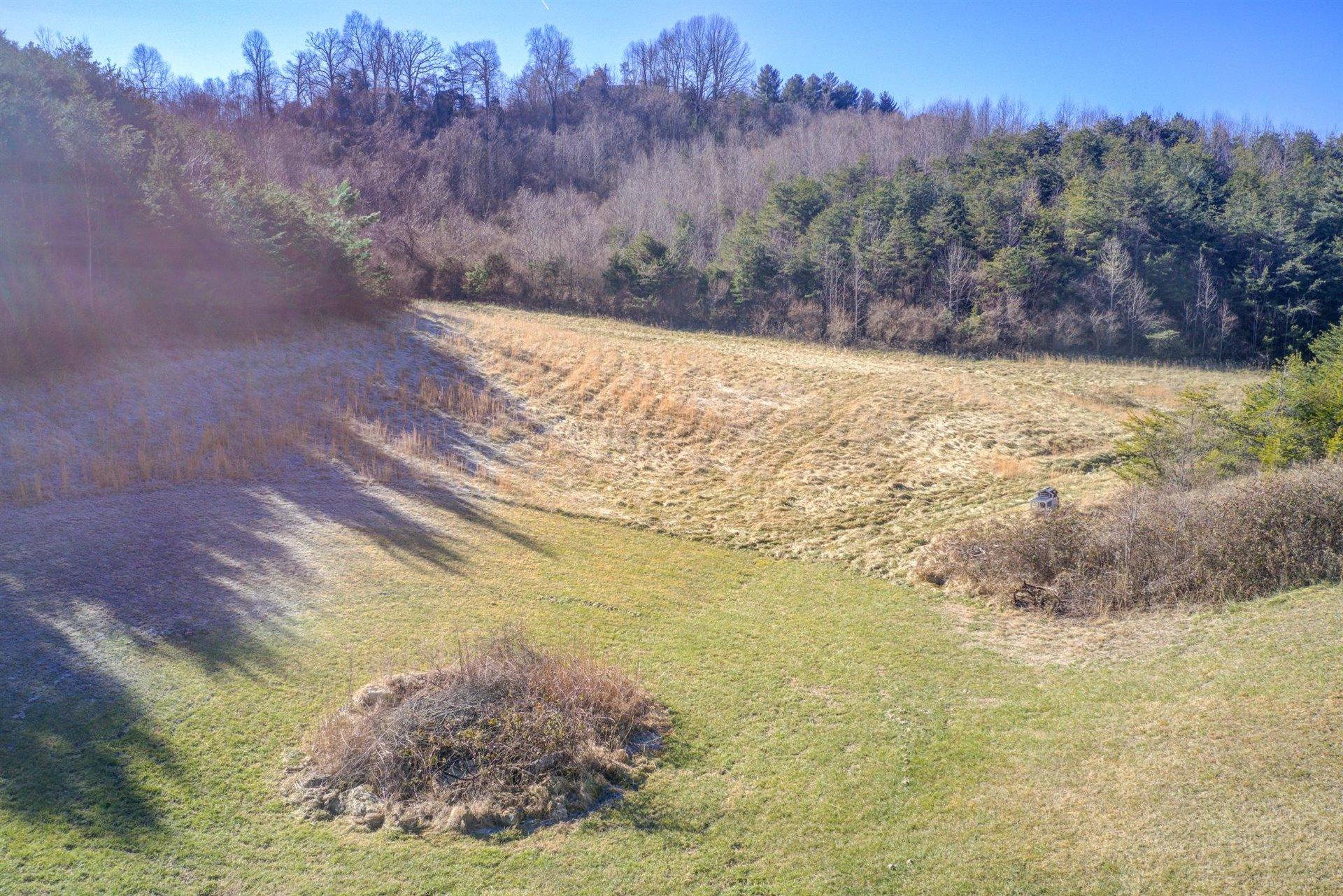 950 Longfield Road Fincastle, VA 24090 - Photo 47 of 51 47-0113-11