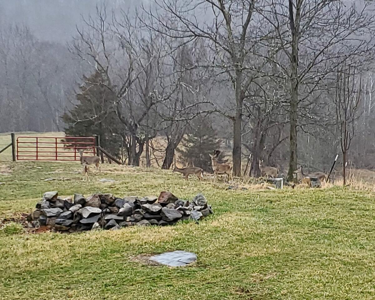 1179 Steels Dam Rd Union Union, WV 24983 - Photo 71 of 78 Gallery Image 71