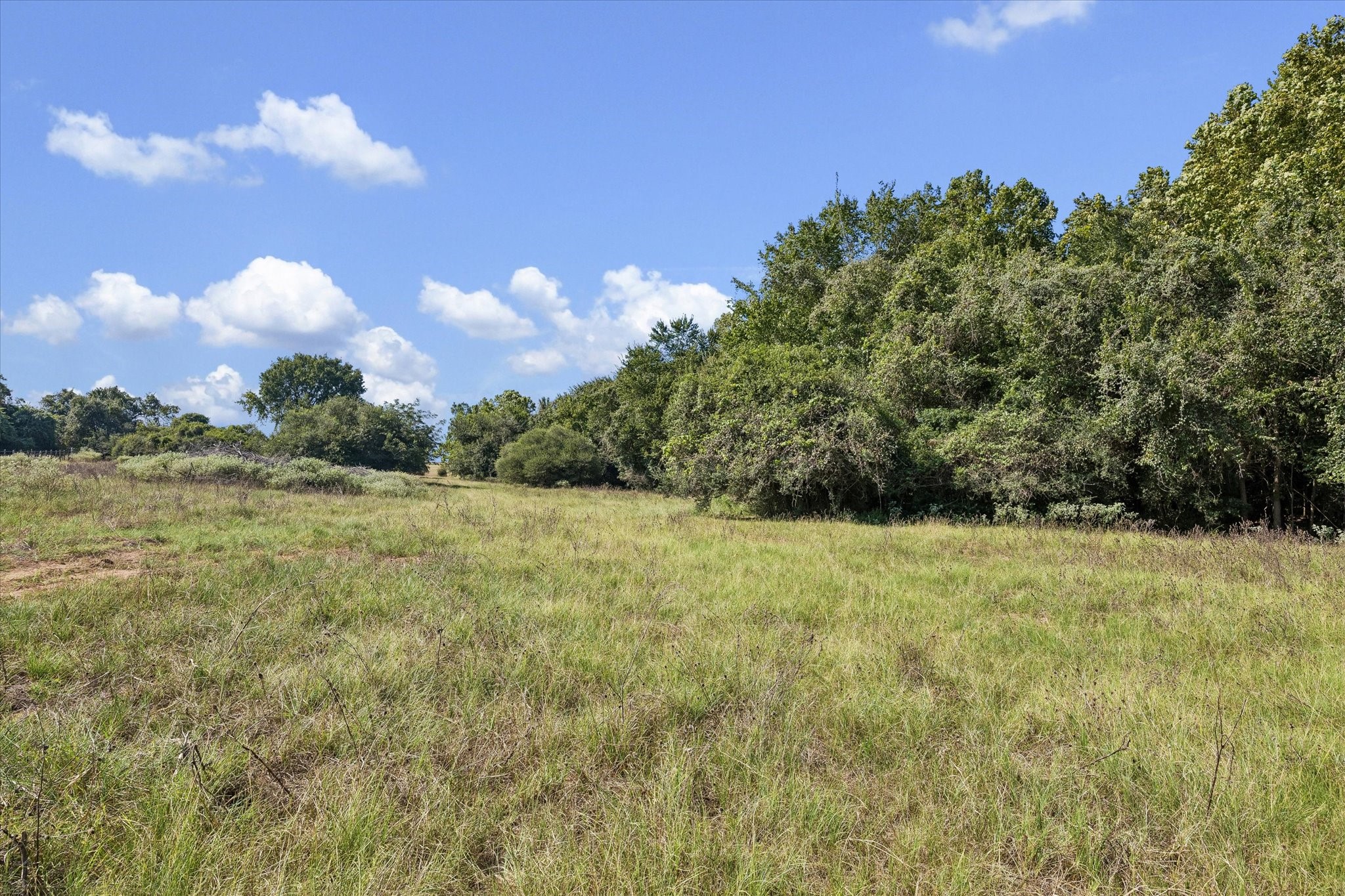 0 Ripple Lane New Ulm, TX 78950 - Photo 9 of 17 Gallery Image 9