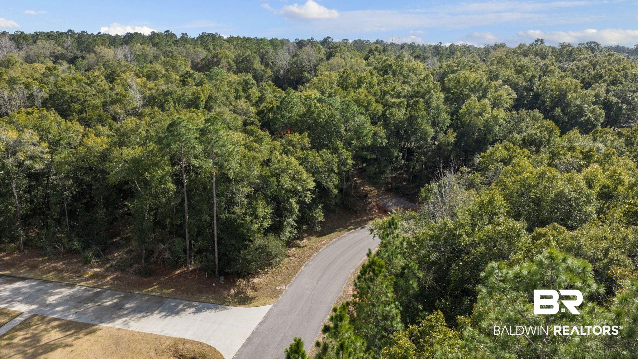 0 Pandion Drive Foley, AL 36535 - Photo 5 of 19