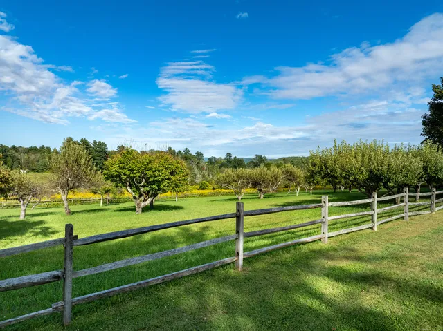 a view of an outdoor space and yard