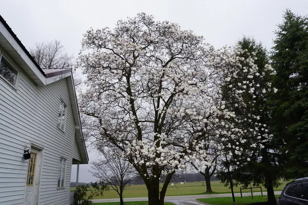 $350,000 | 59757 White Temple Road, Vandalia, MI 49095