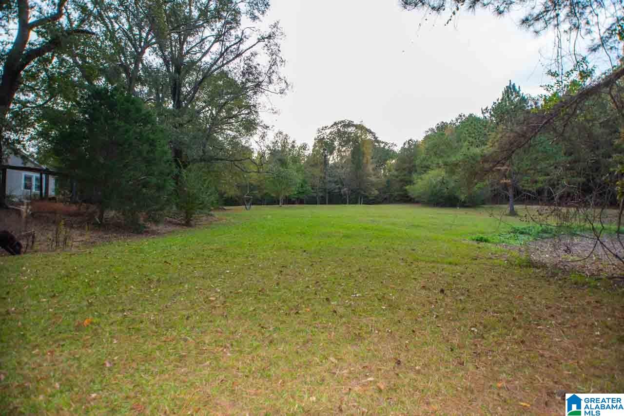 274 Hepzibah Road Talladega, AL 35160 - Photo 47 of 50