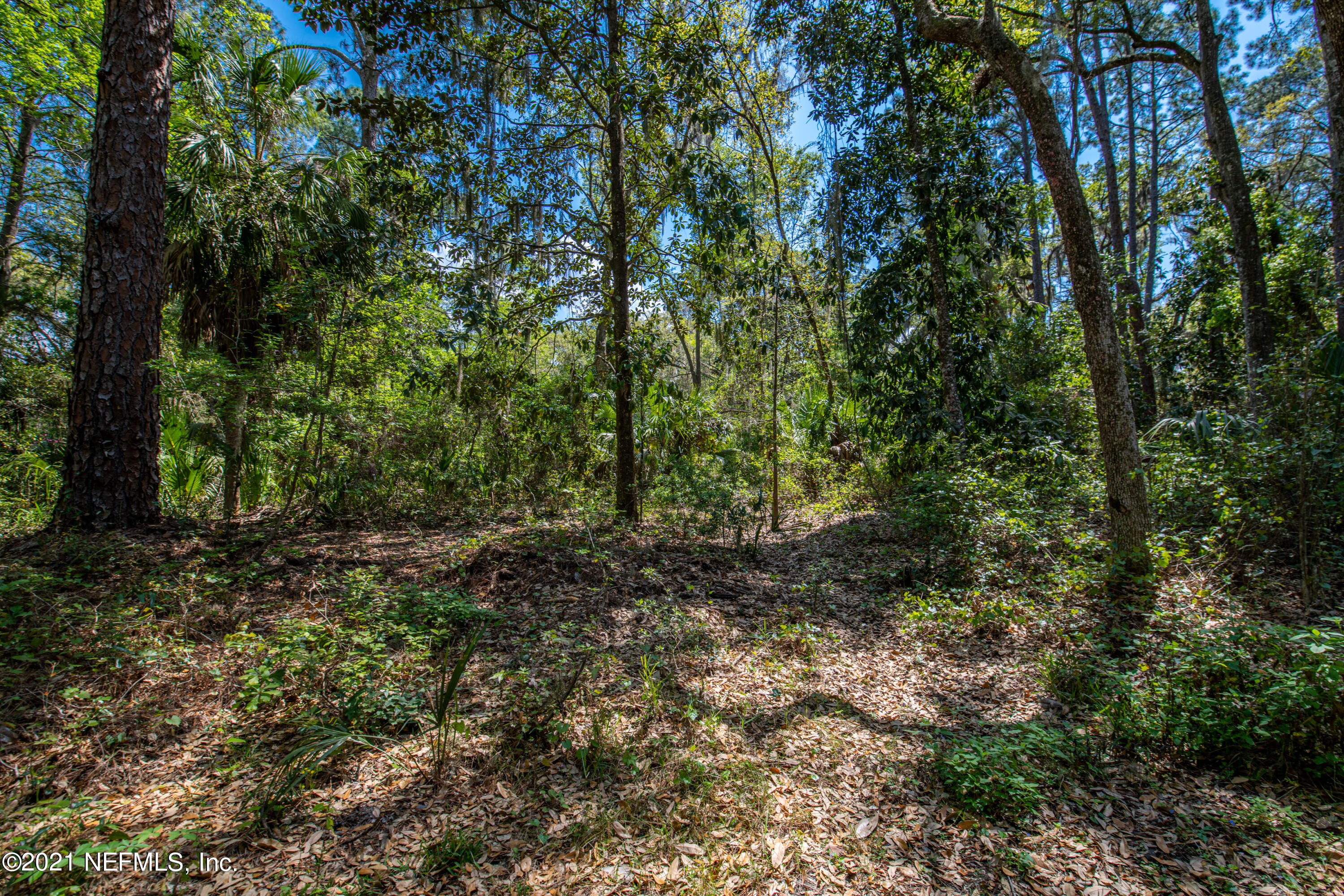 13440 Mandarin Road Jacksonville, FL 32223 - Photo 17 of 29 13440 Mandarin Road-28976