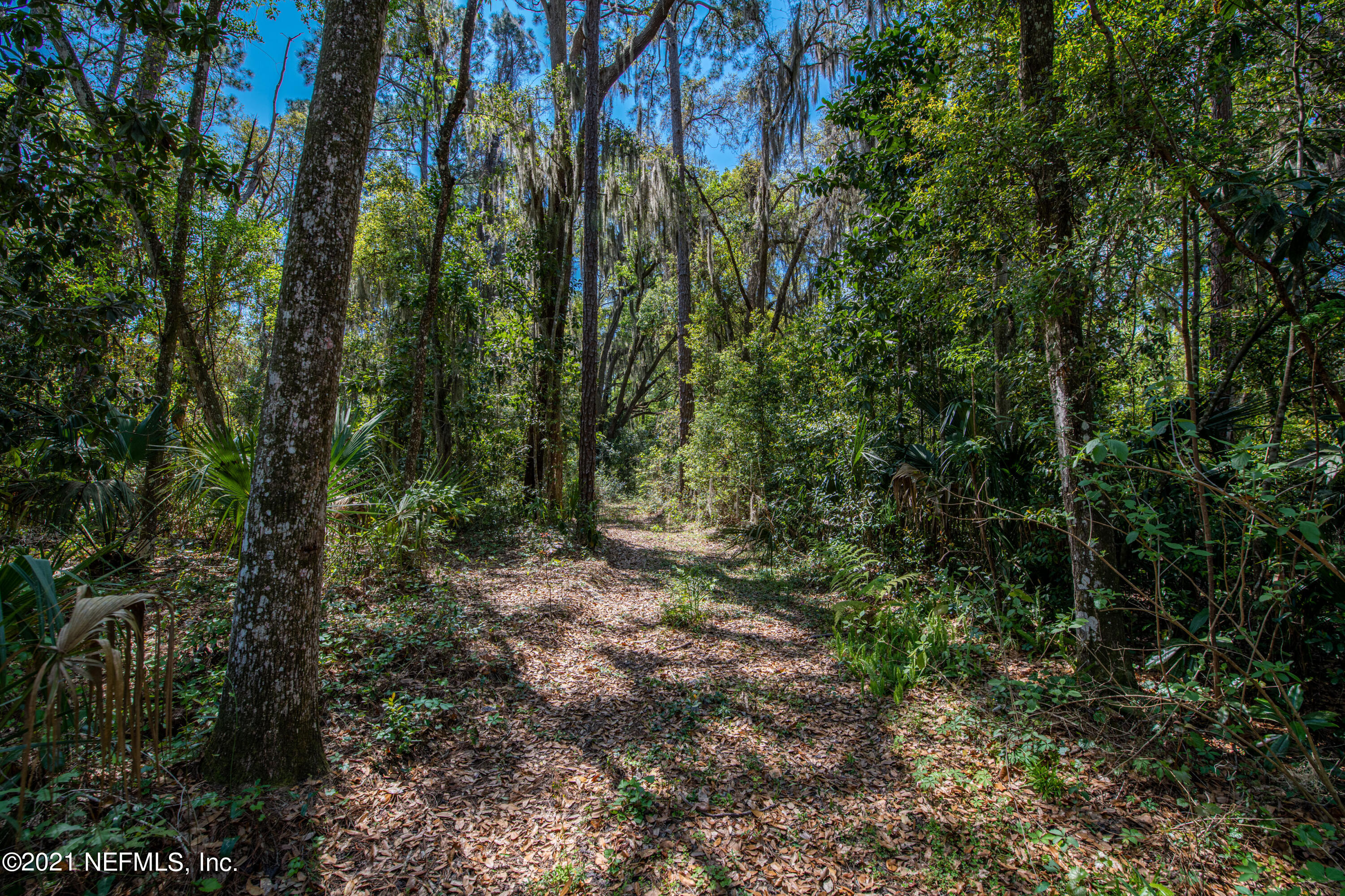 13440 Mandarin Road Jacksonville, FL 32223 - Photo 18 of 29 13440 Mandarin Road-28978
