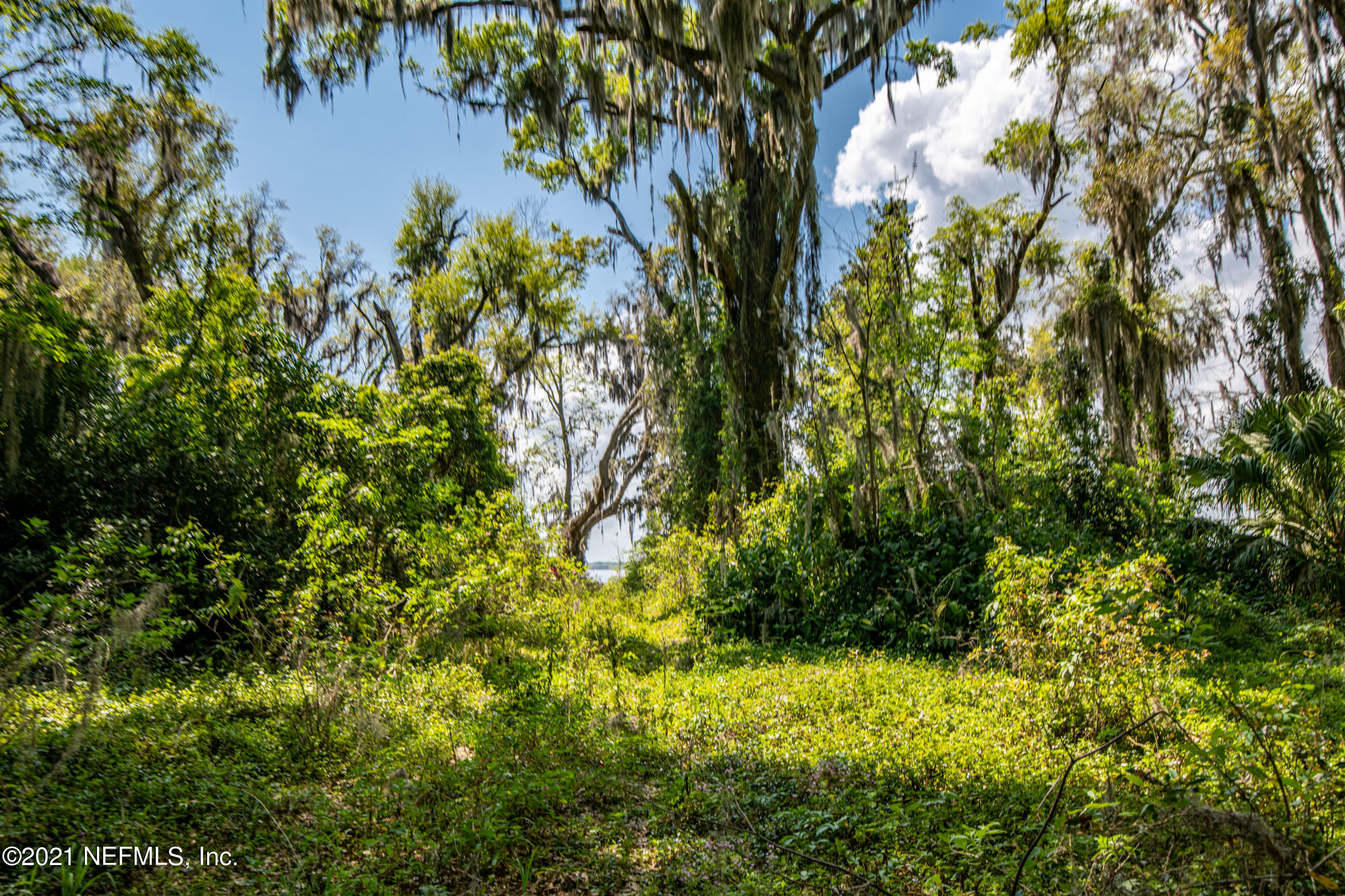 13440 Mandarin Road Jacksonville, FL 32223 - Photo 23 of 29 13440 Mandarin Road-28994