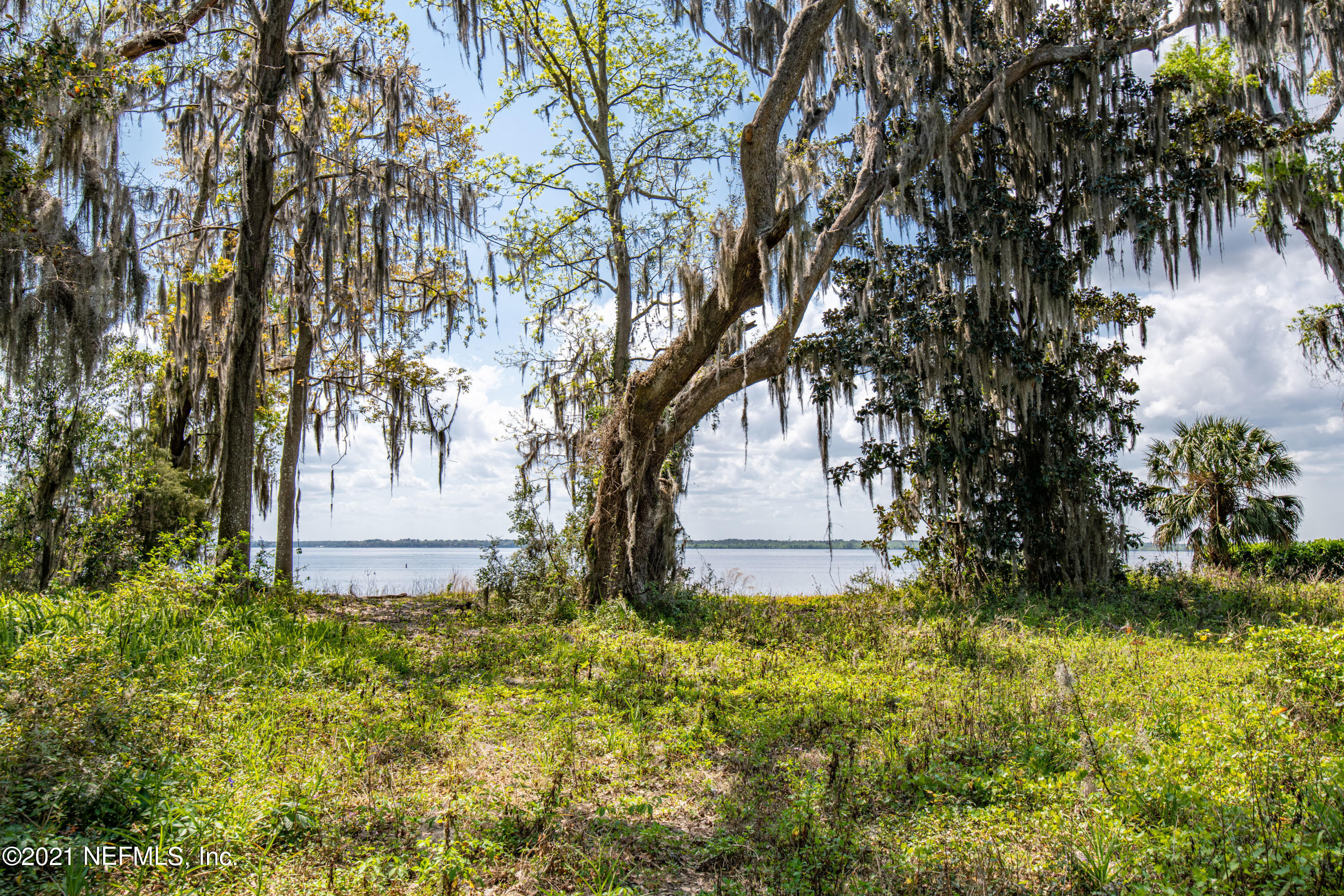 13440 Mandarin Road Jacksonville, FL 32223 - Photo 25 of 29 13440 Mandarin Road-28999