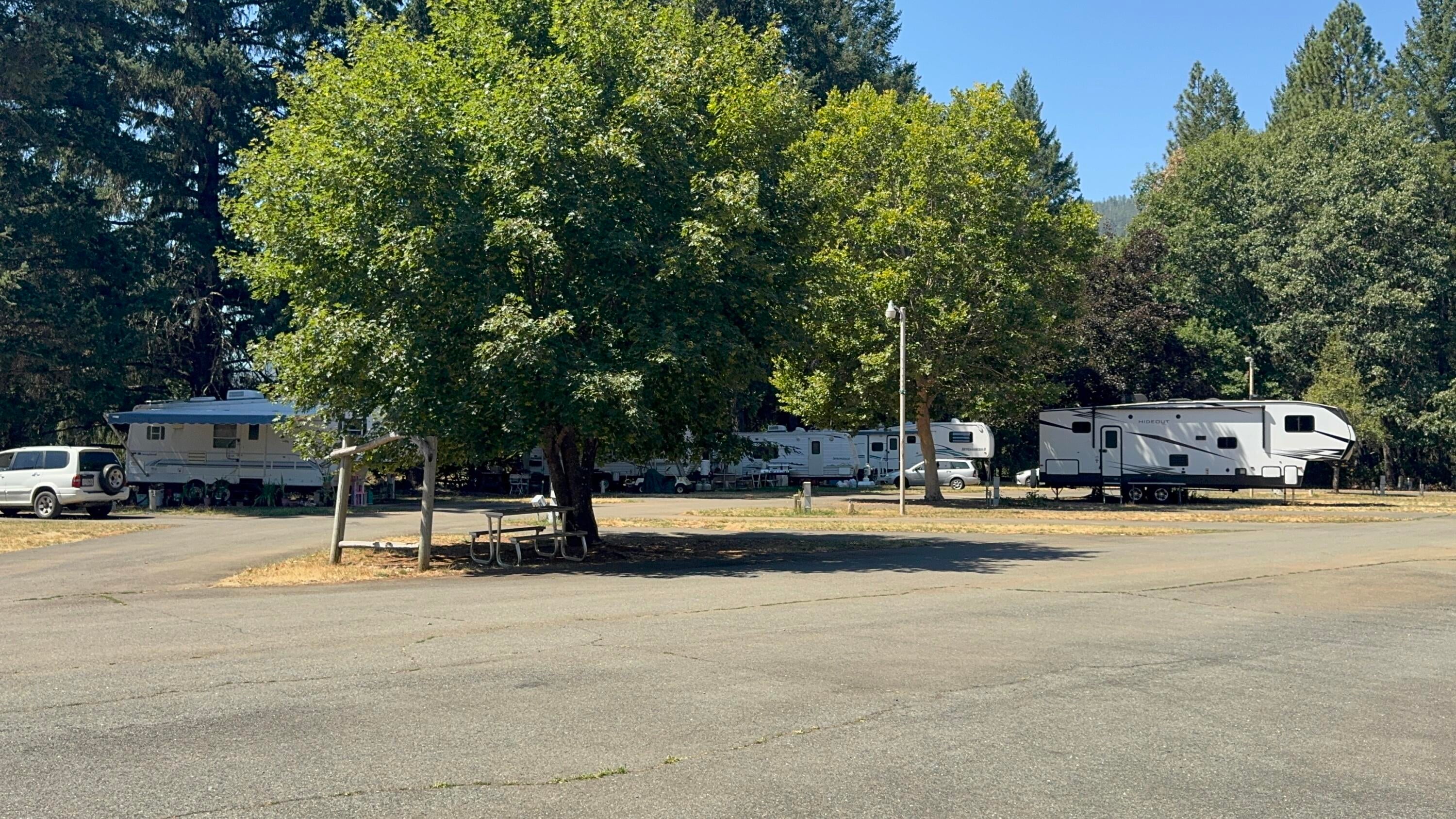 156 Ollis Road Cave Junction, OR 97523 - Photo 2 of 2 IMG_2450