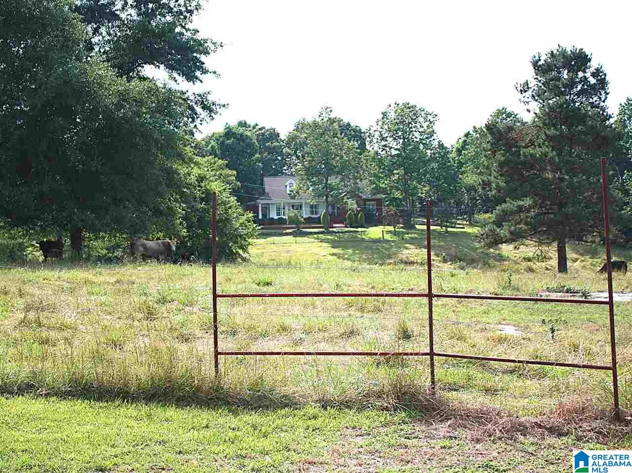 919 Gip Yates Road Blountsville, AL 35031 - Photo 2 of 49