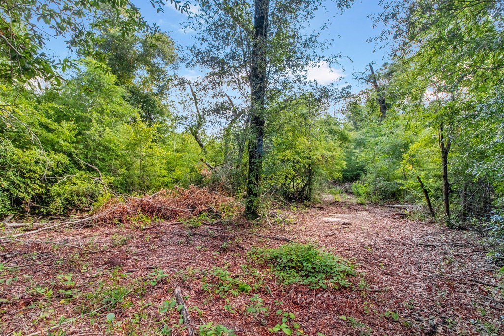 Undisclosed Address Gordon, AL 36343 - Photo 20 of 22