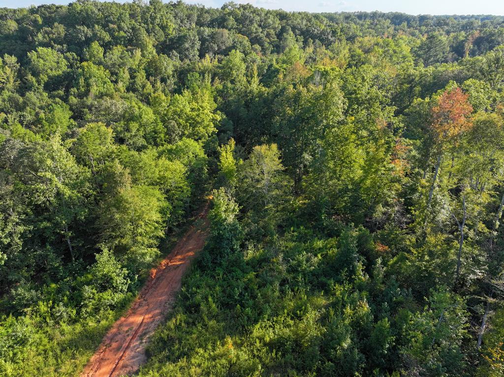 117 Drake Road Honea Path, SC 29654 - Photo 1 of 23