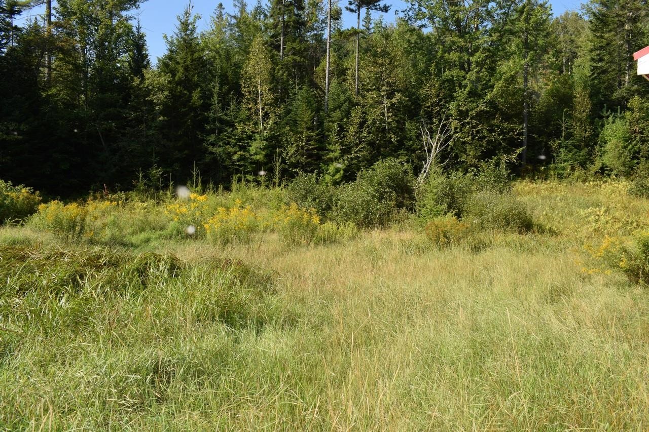 263 Milan Road Milan, NH 03588 - Photo 3 of 19