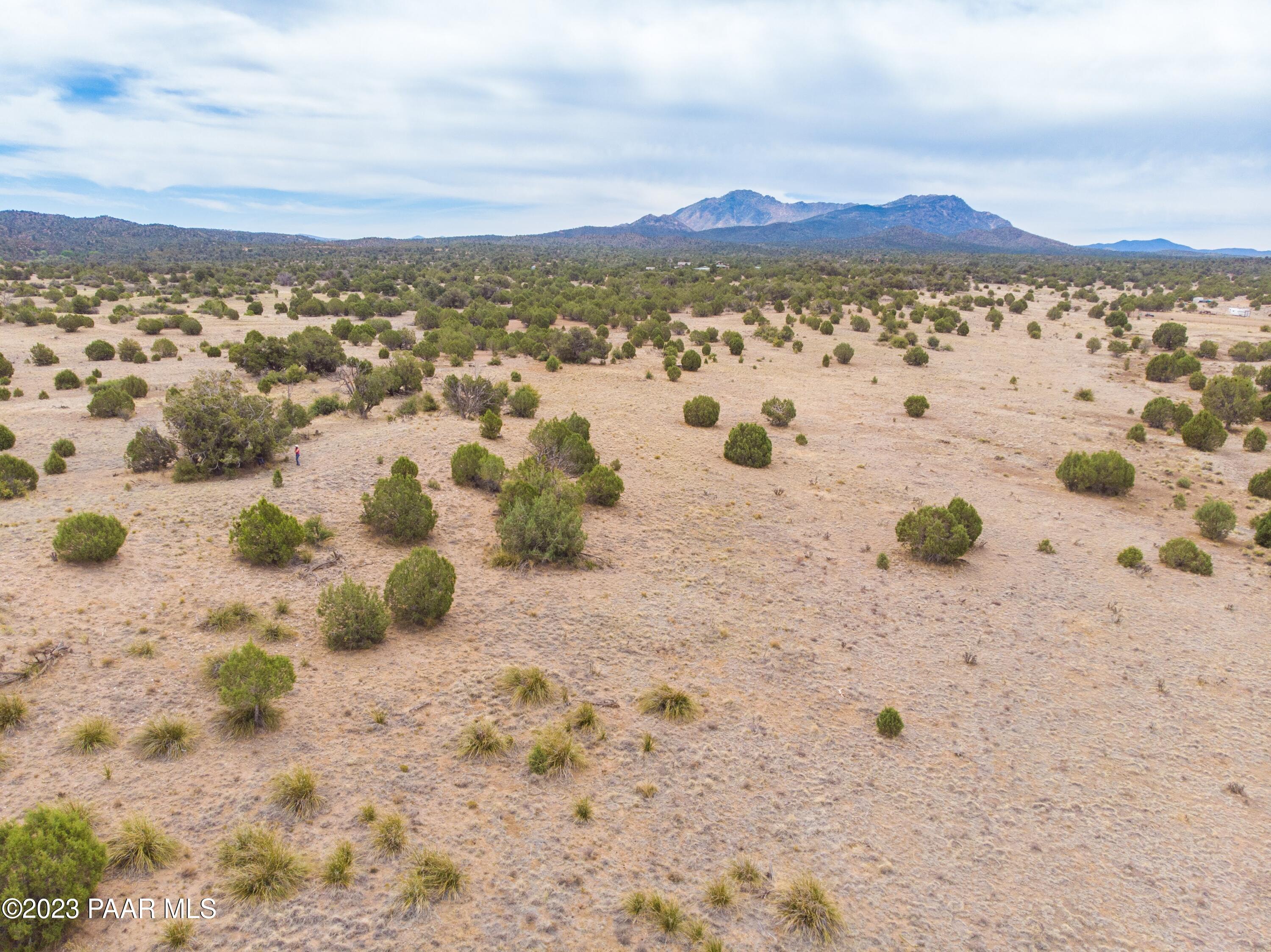 12955 North Puntenney Road Prescott, AZ 86305 - Photo 11 of 36 Gentle Knoll
