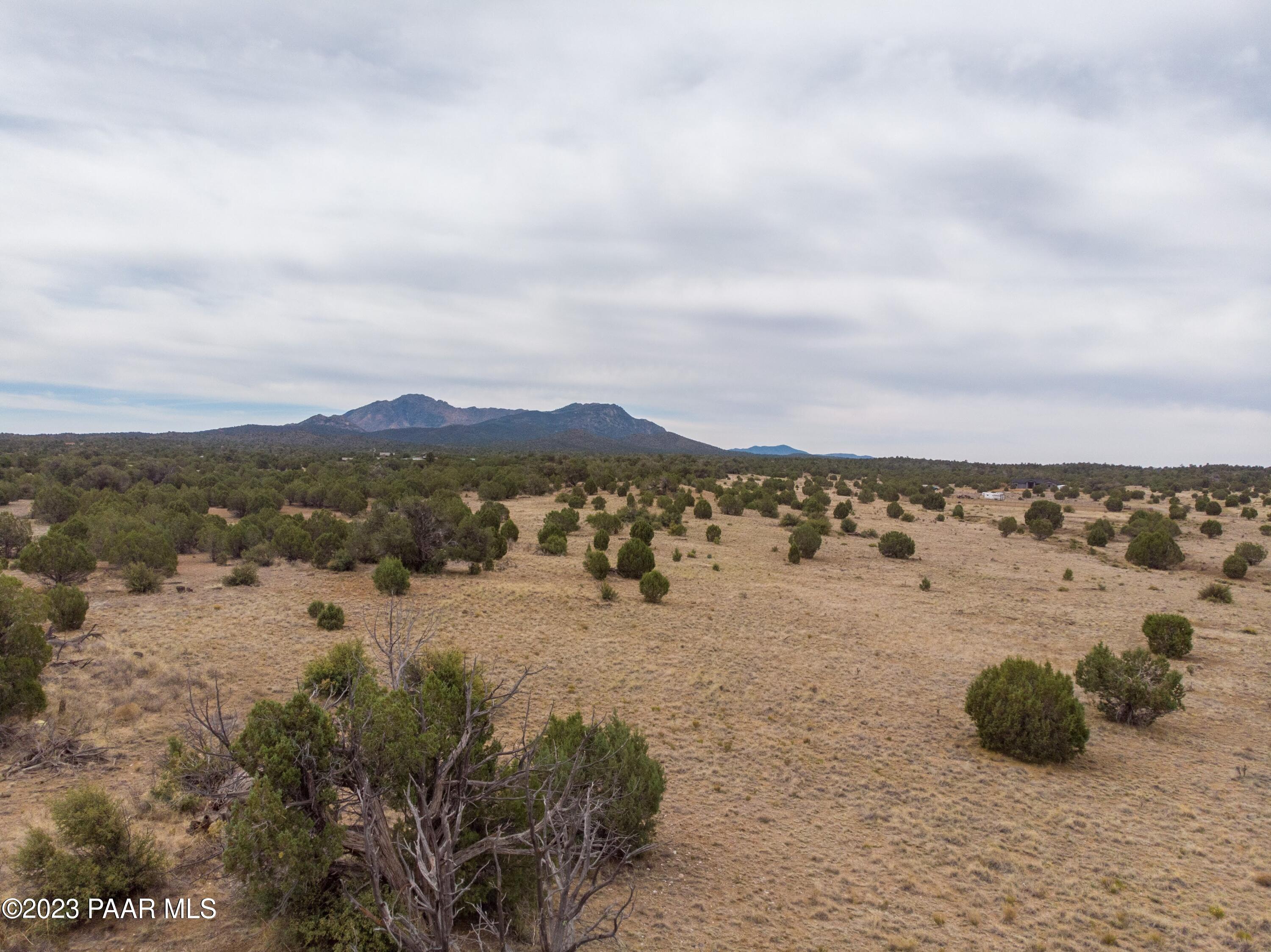 12955 North Puntenney Road Prescott, AZ 86305 - Photo 7 of 36 Granite Mountain