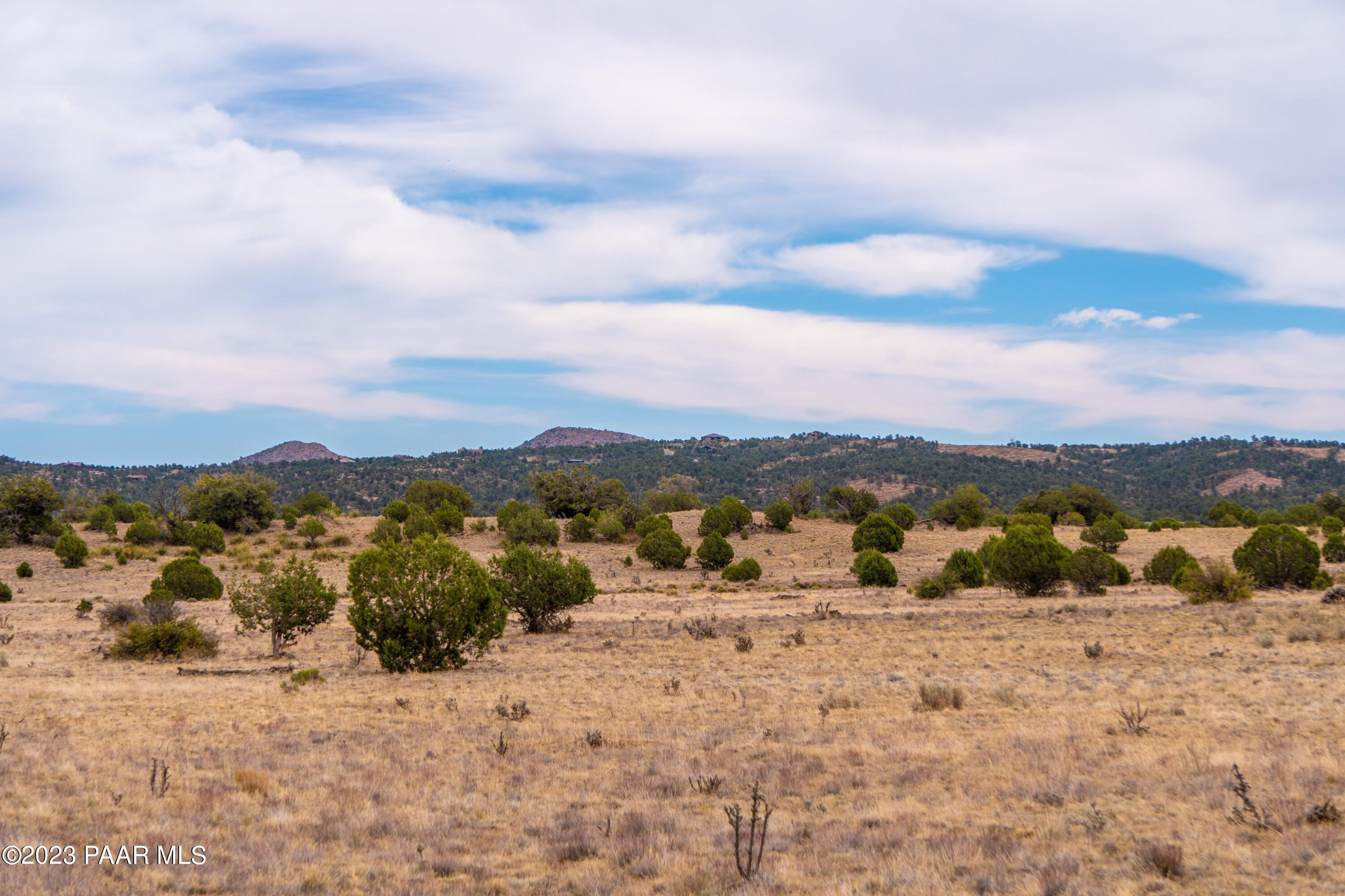 12955 North Puntenney Road Prescott, AZ 86305 - Photo 9 of 36 Views