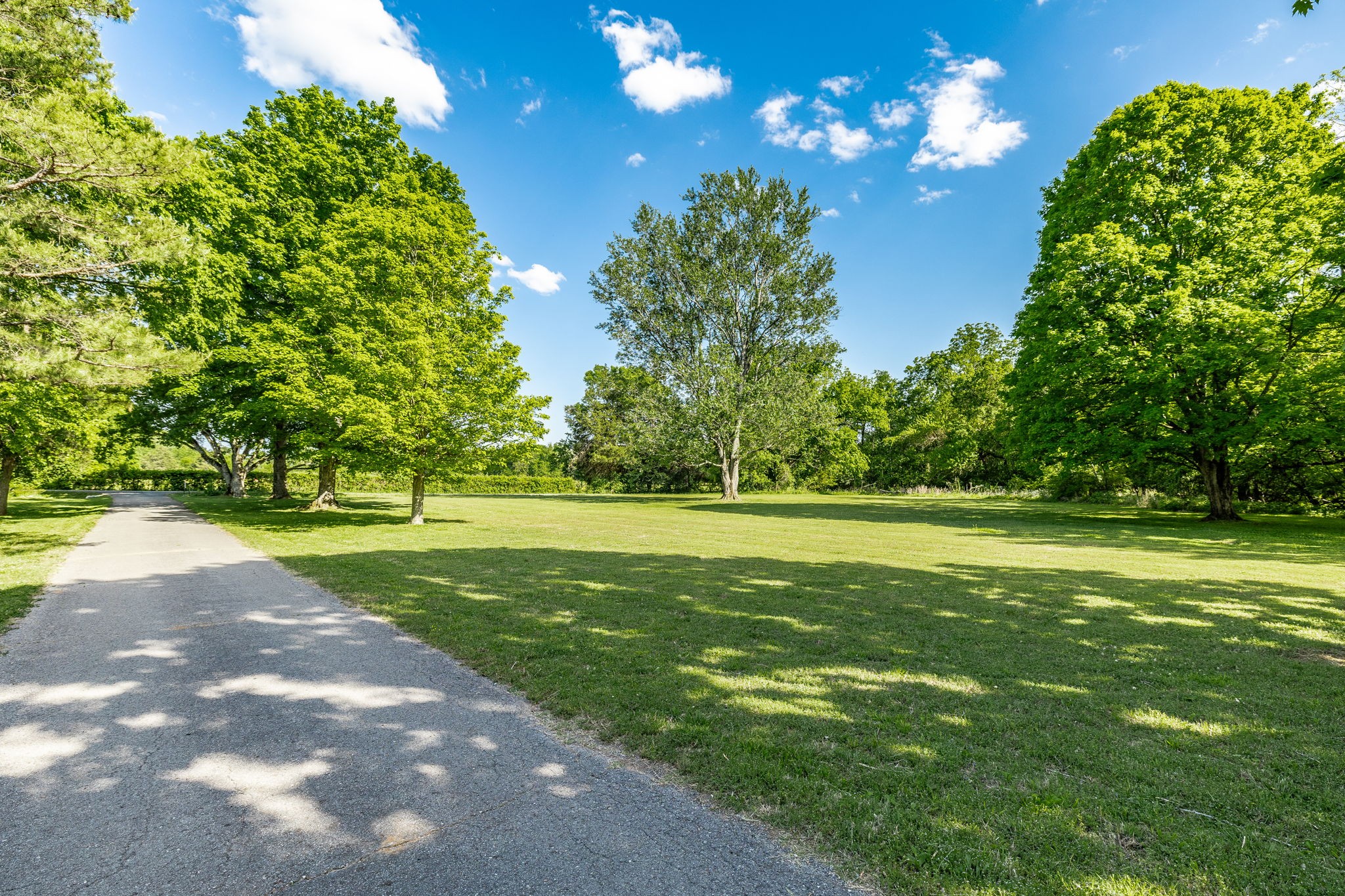 584 Shirley Road Smyrna, TN 37167 - Photo 11 of 73