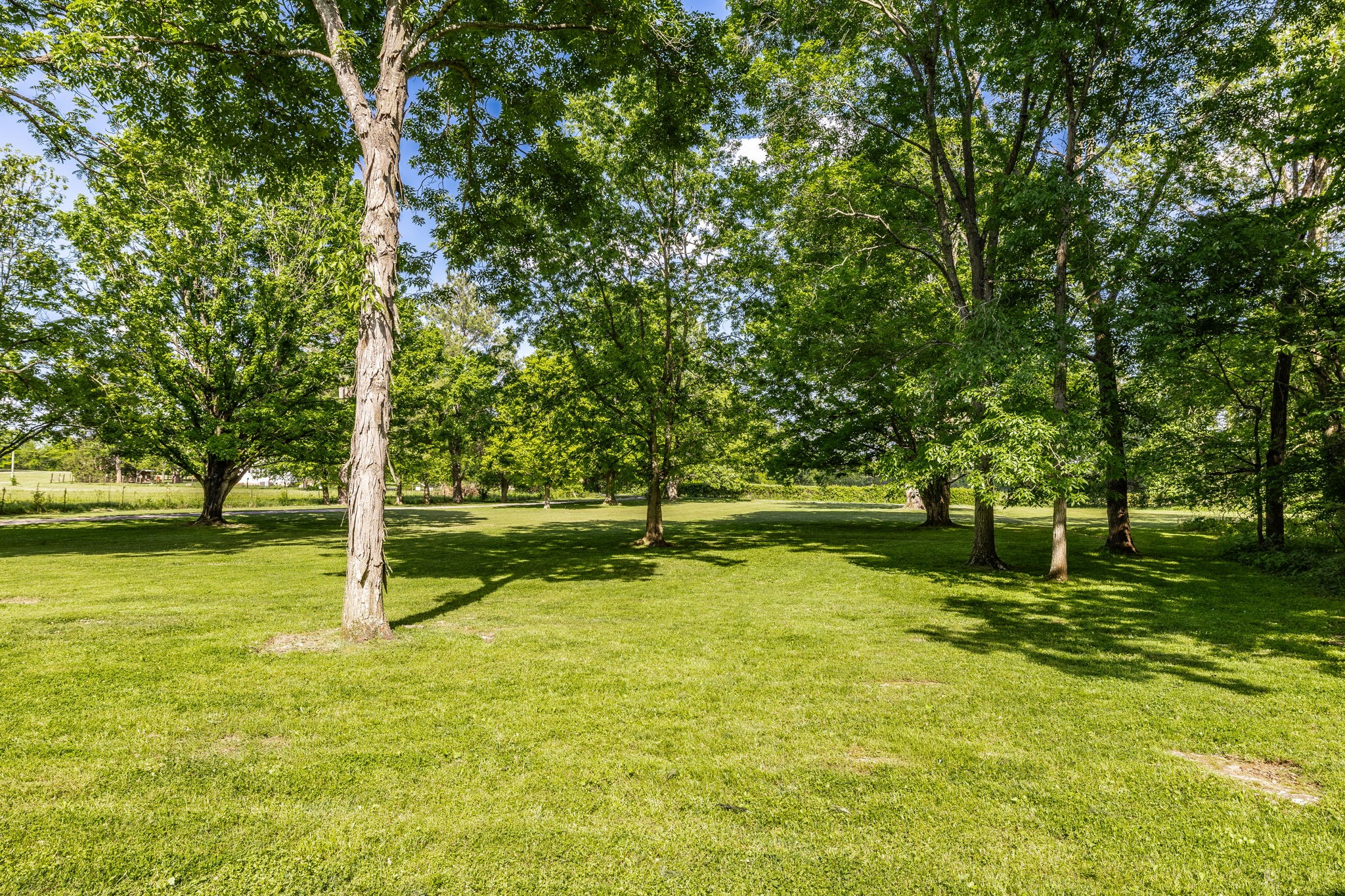 584 Shirley Road Smyrna, TN 37167 - Photo 17 of 73
