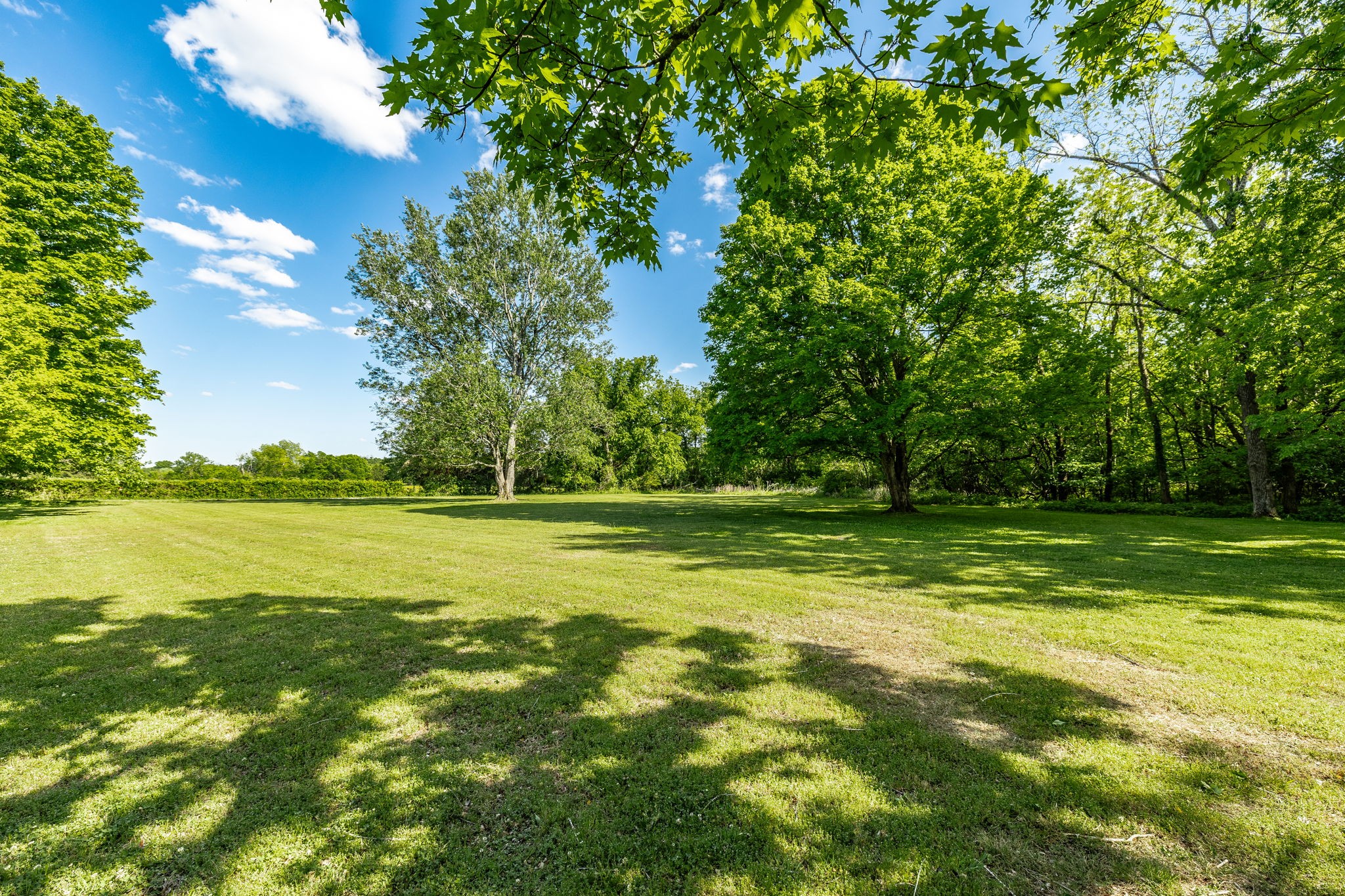584 Shirley Road Smyrna, TN 37167 - Photo 18 of 73