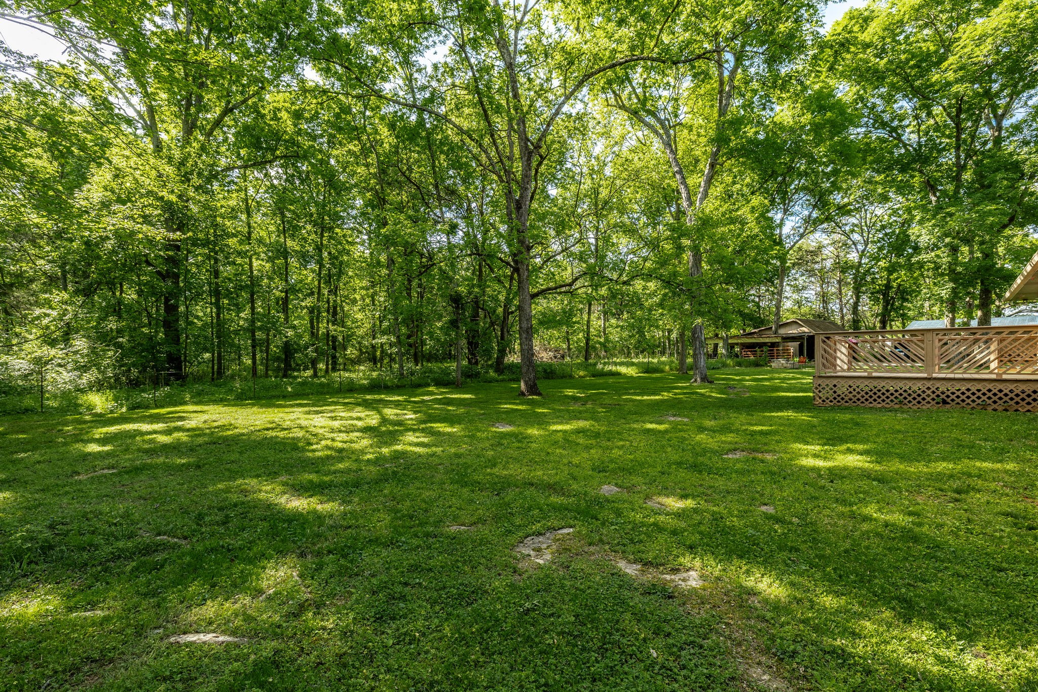 584 Shirley Road Smyrna, TN 37167 - Photo 62 of 73