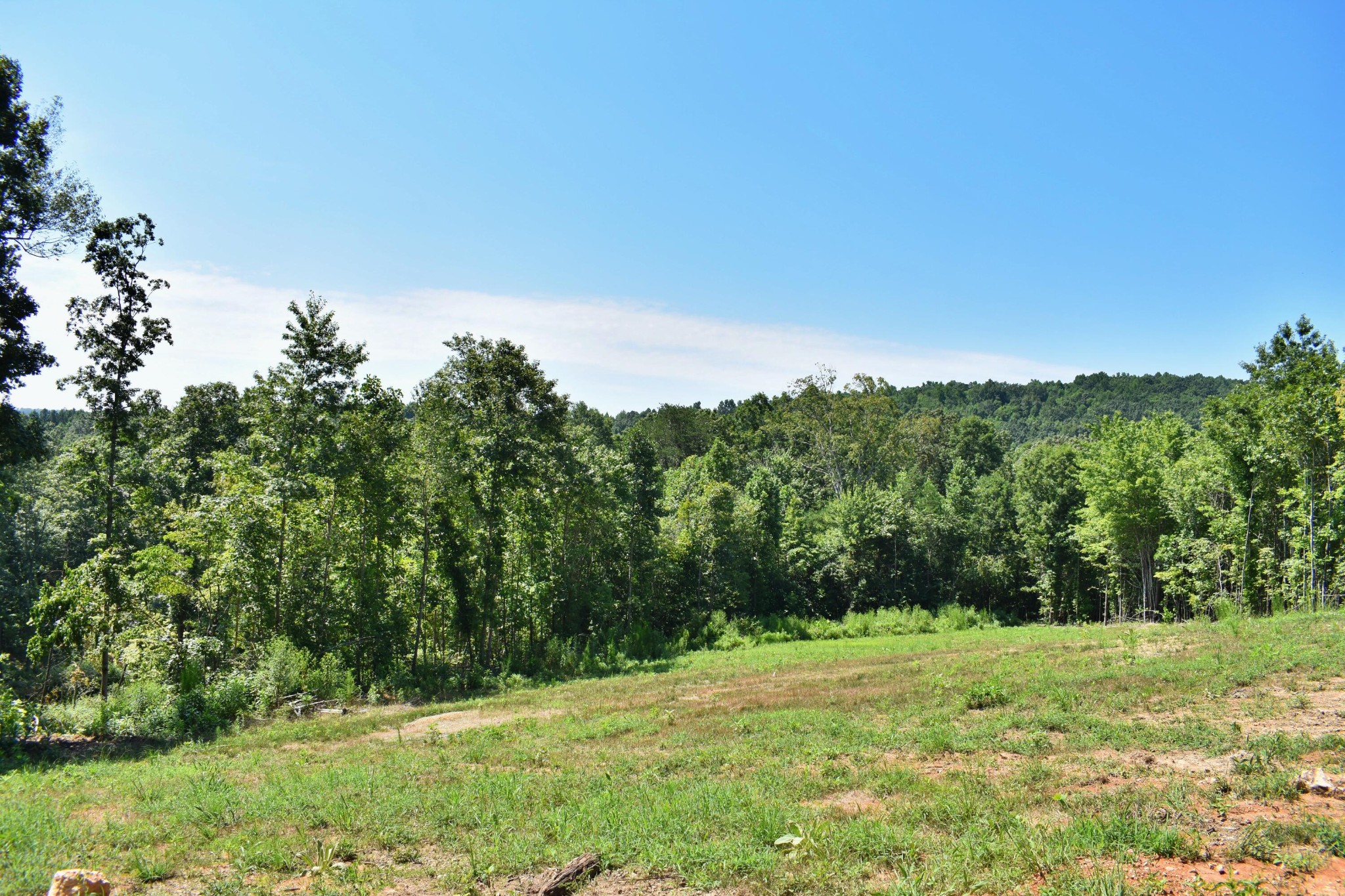 521 Norton Road Philadelphia, TN 37846 - Photo 24 of 42