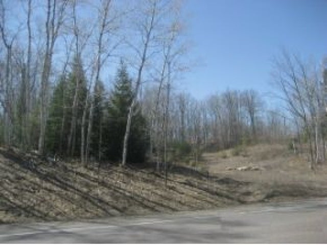 2907n Highway 51 Mercer, WI 54547 - Photo 2 of 9 Gallery Image 2