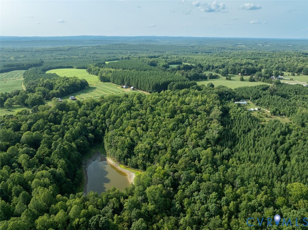 0 Riceville Road Java, VA 24565 - Photo 11 of 25 Gallery Image 11