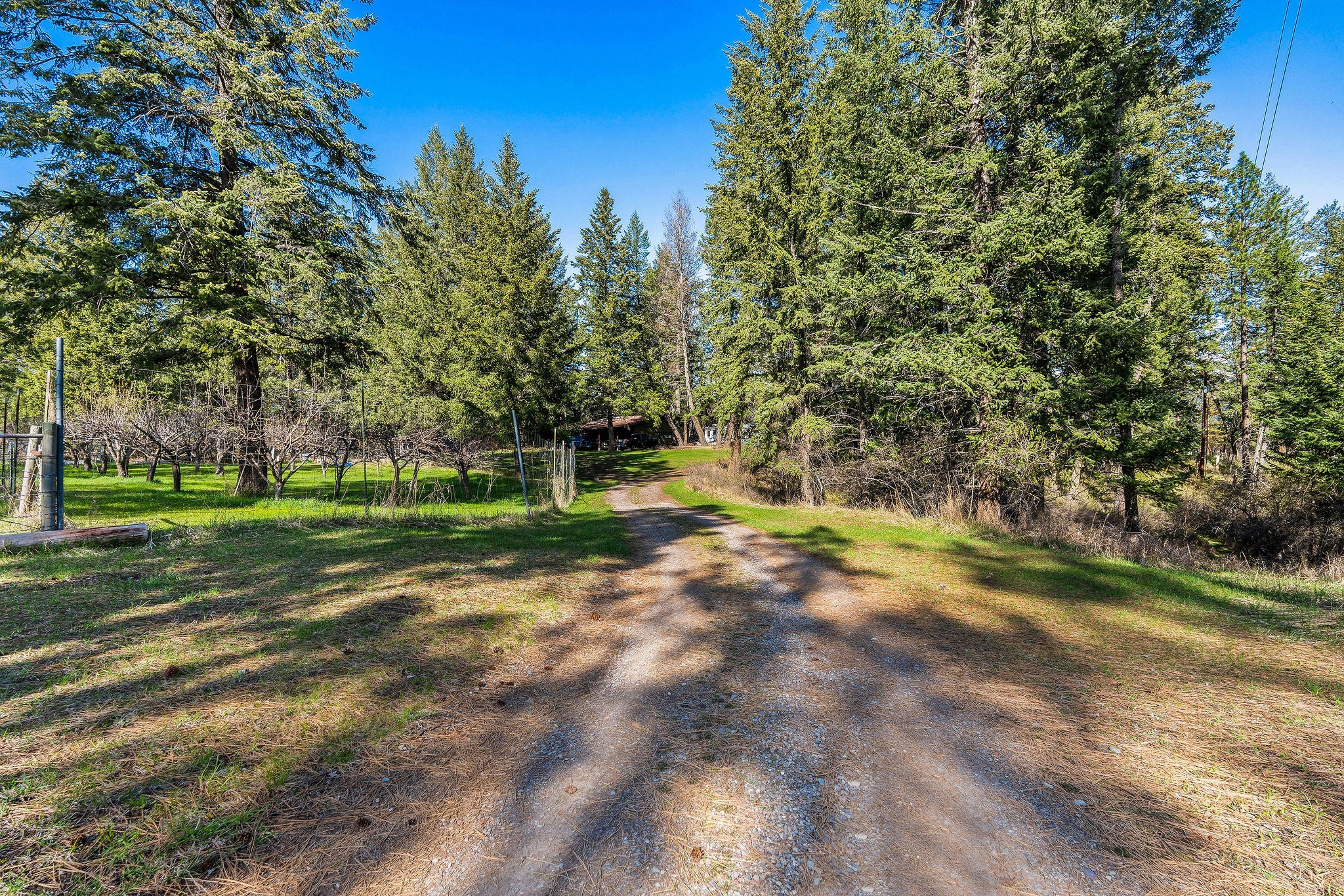 701 McCaffery Road Bigfork, MT 59911 - Photo 49 of 65 Gallery Image 49