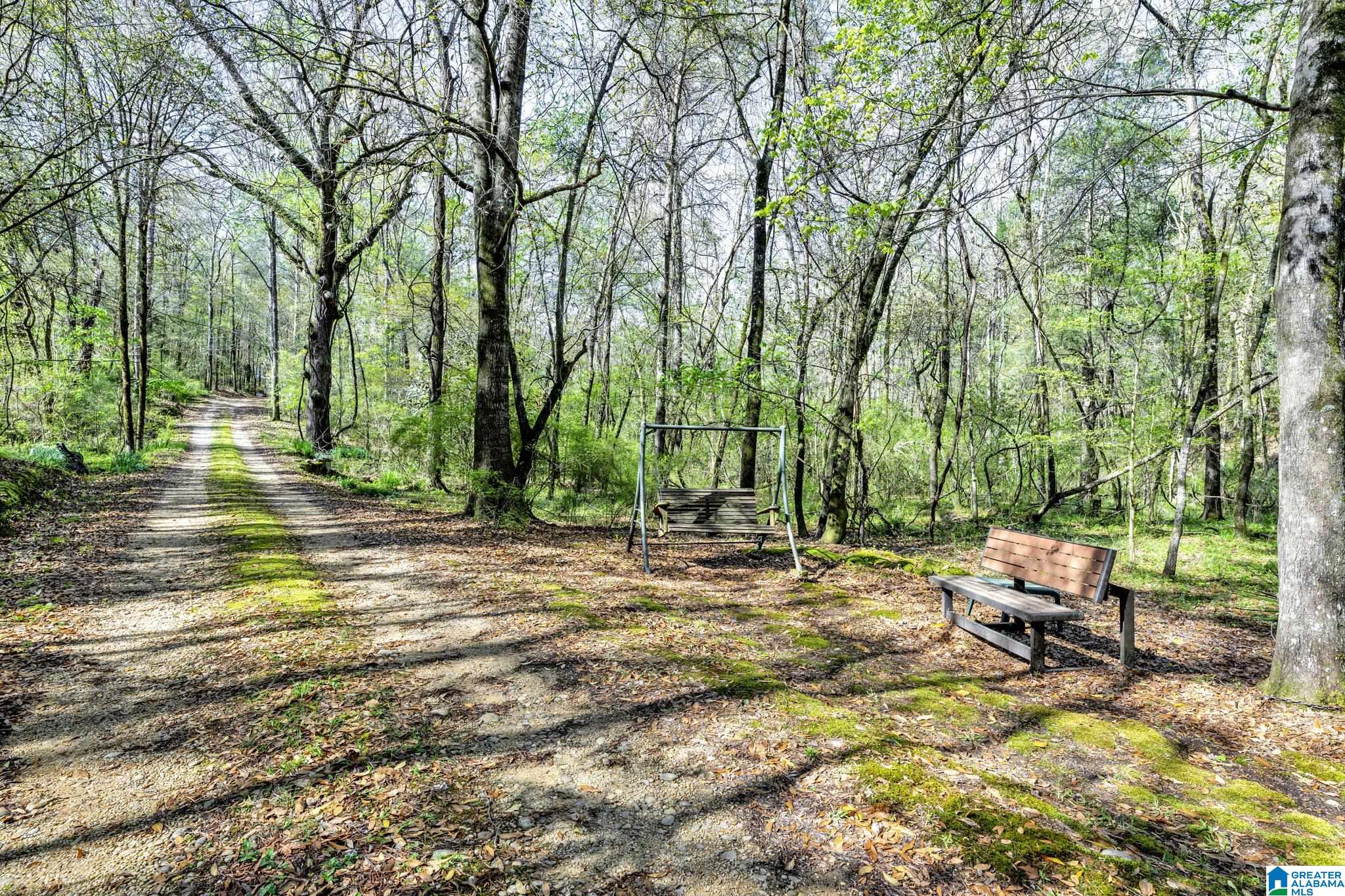 358 Cornelia Road Brierfield, AL 35035 - Photo 62 of 62