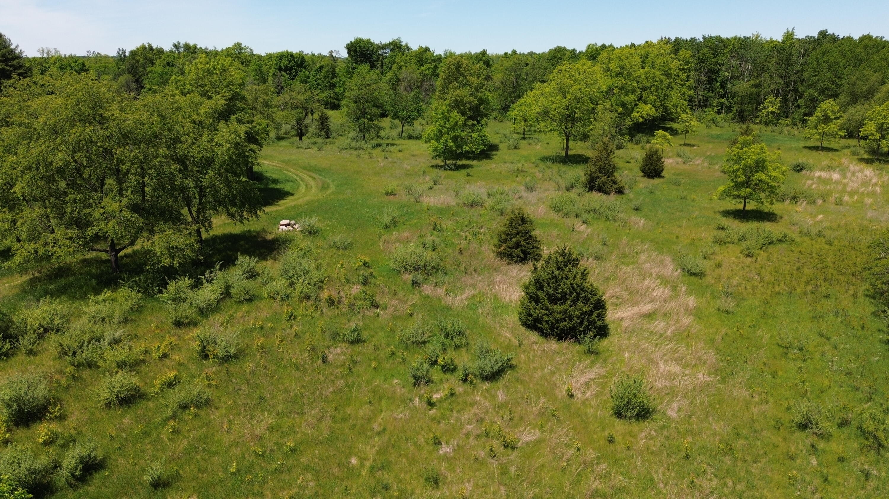 Travis Pointe Road Ann Arbor, MI 48108 - Photo 21 of 34 DJI_0130