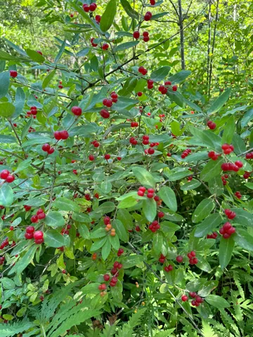 $699,000 | 356 High Street, Bath, ME 04530