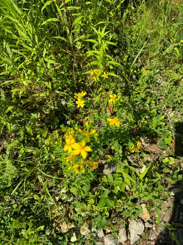 $699,000 | 356 High Street, Bath, ME 04530