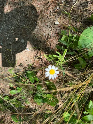 $699,000 | 356 High Street, Bath, ME 04530