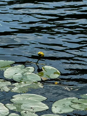 $699,000 | 356 High Street, Bath, ME 04530